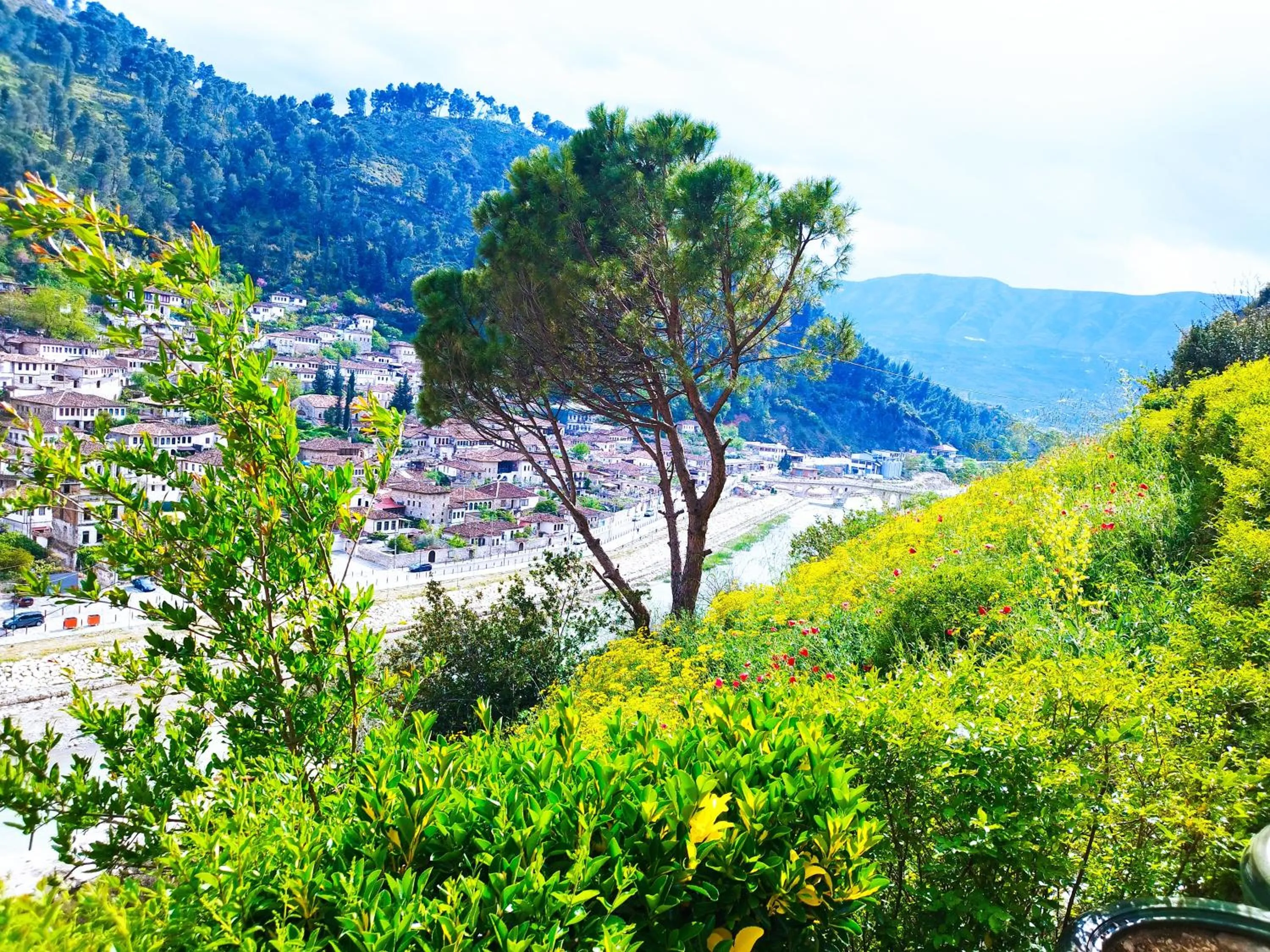 Spring in Guva Mangalem Hotel Restaurant