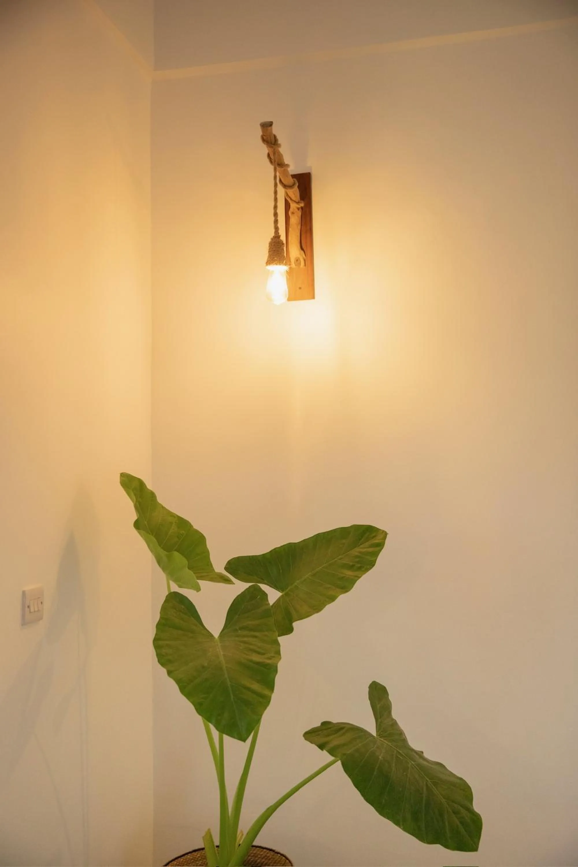 Decorative detail in Paje White House