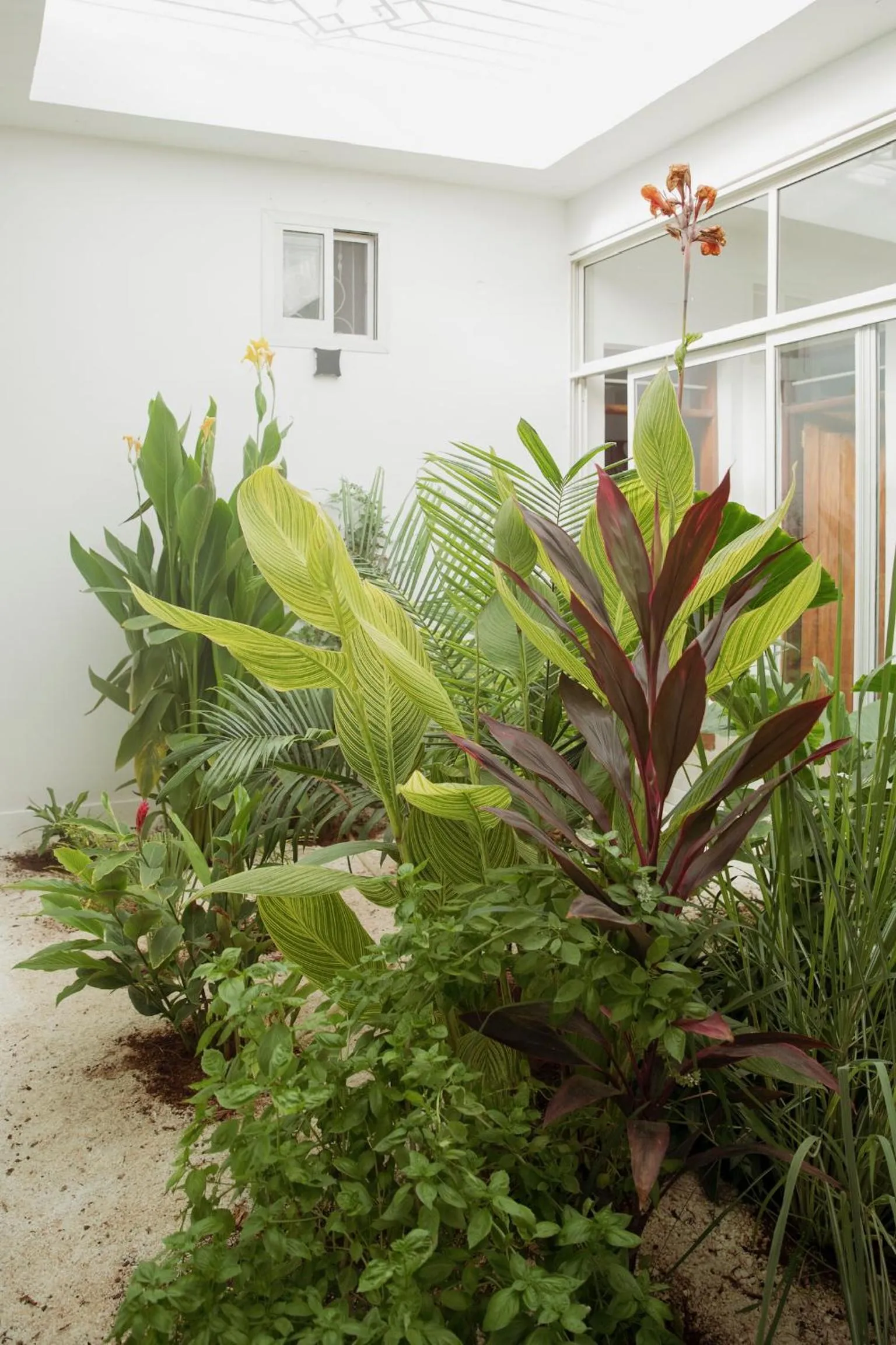 Other in Paje White House