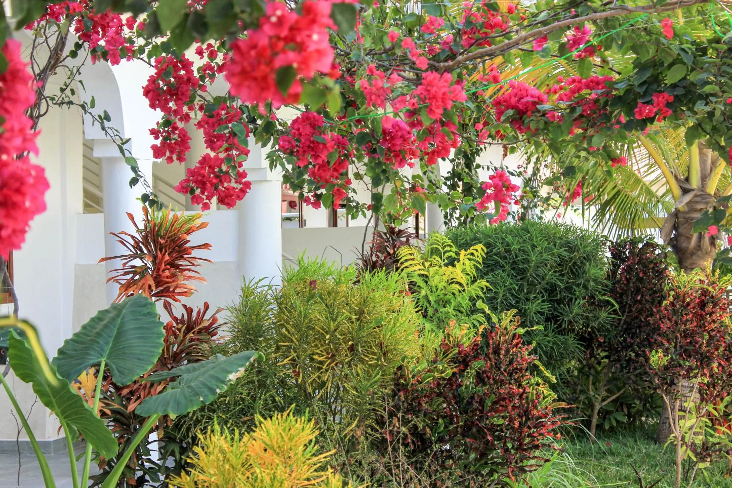 Day in Paje White House