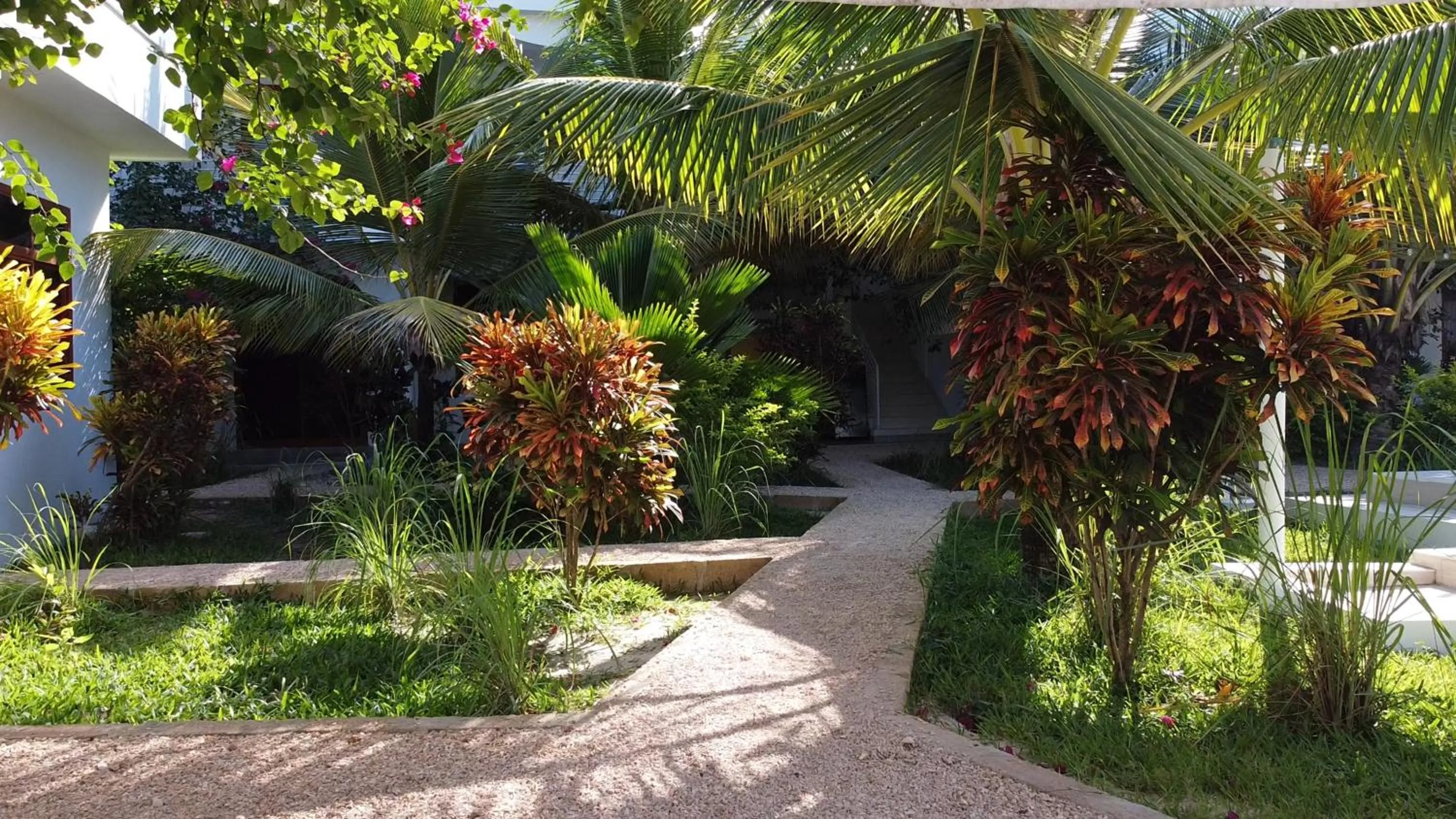 Garden in Paje White House