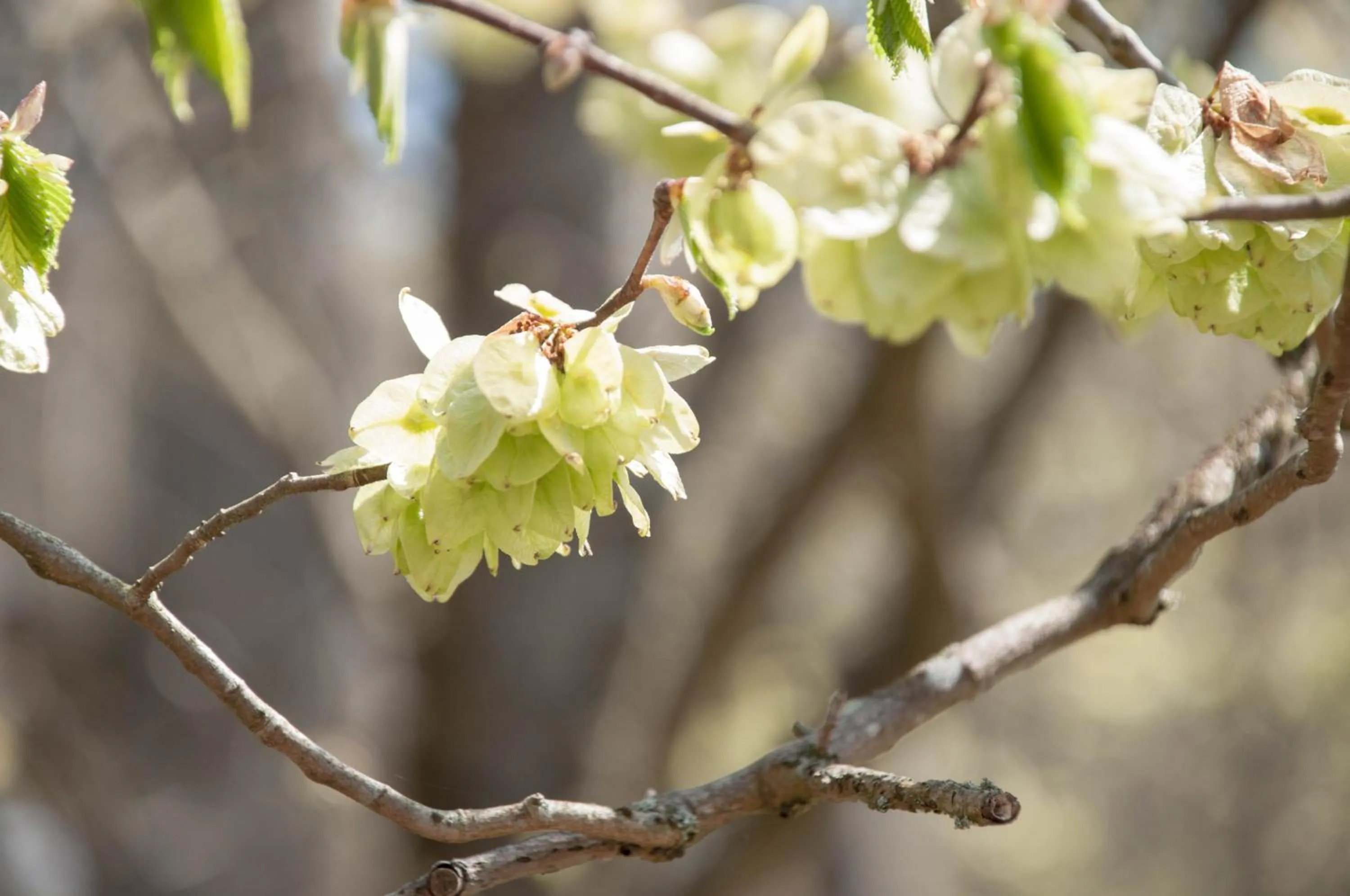 Other in Kurparkhotel-Gemünd