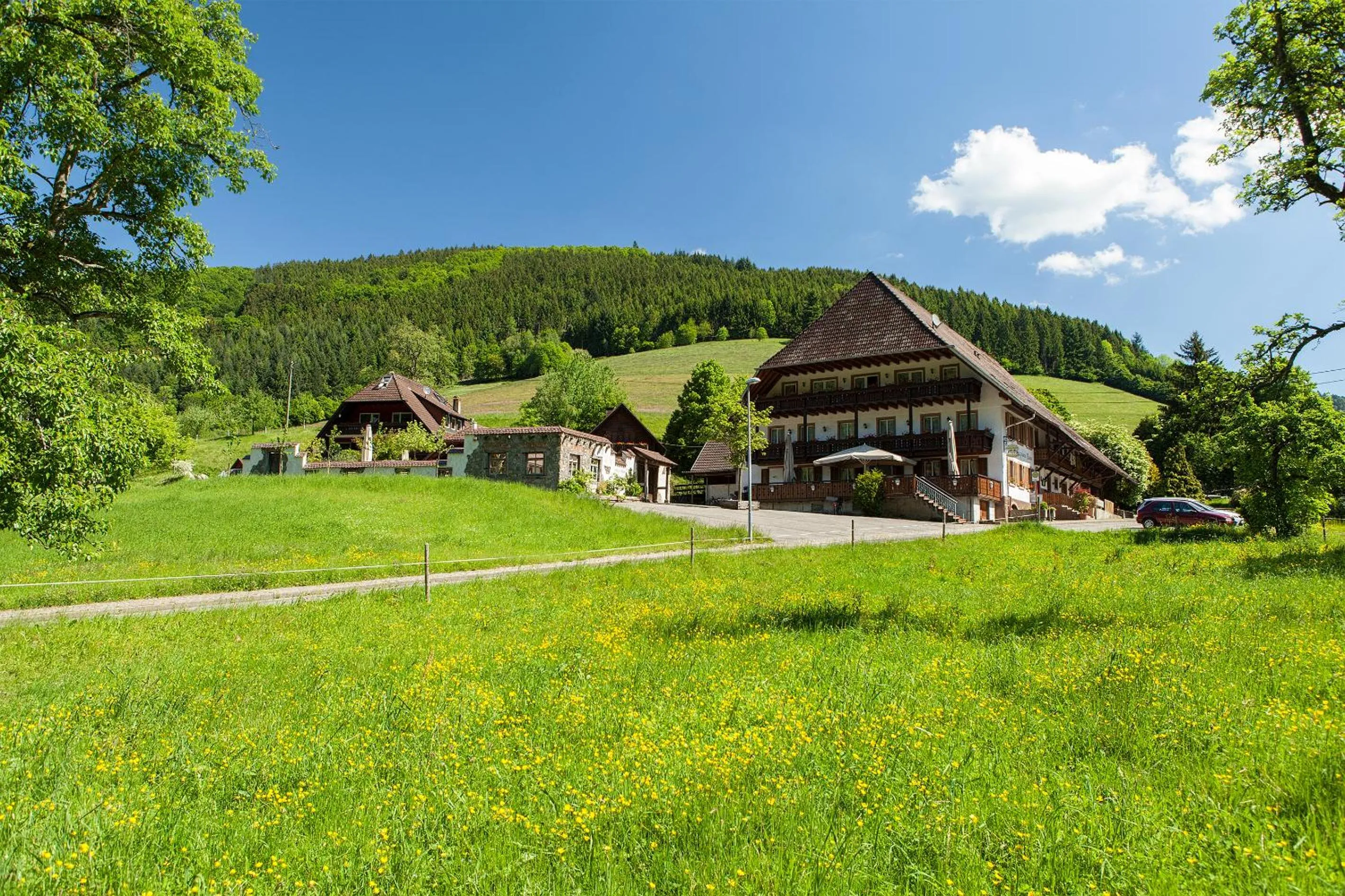 Other in Landgasthaus Grüner Baum