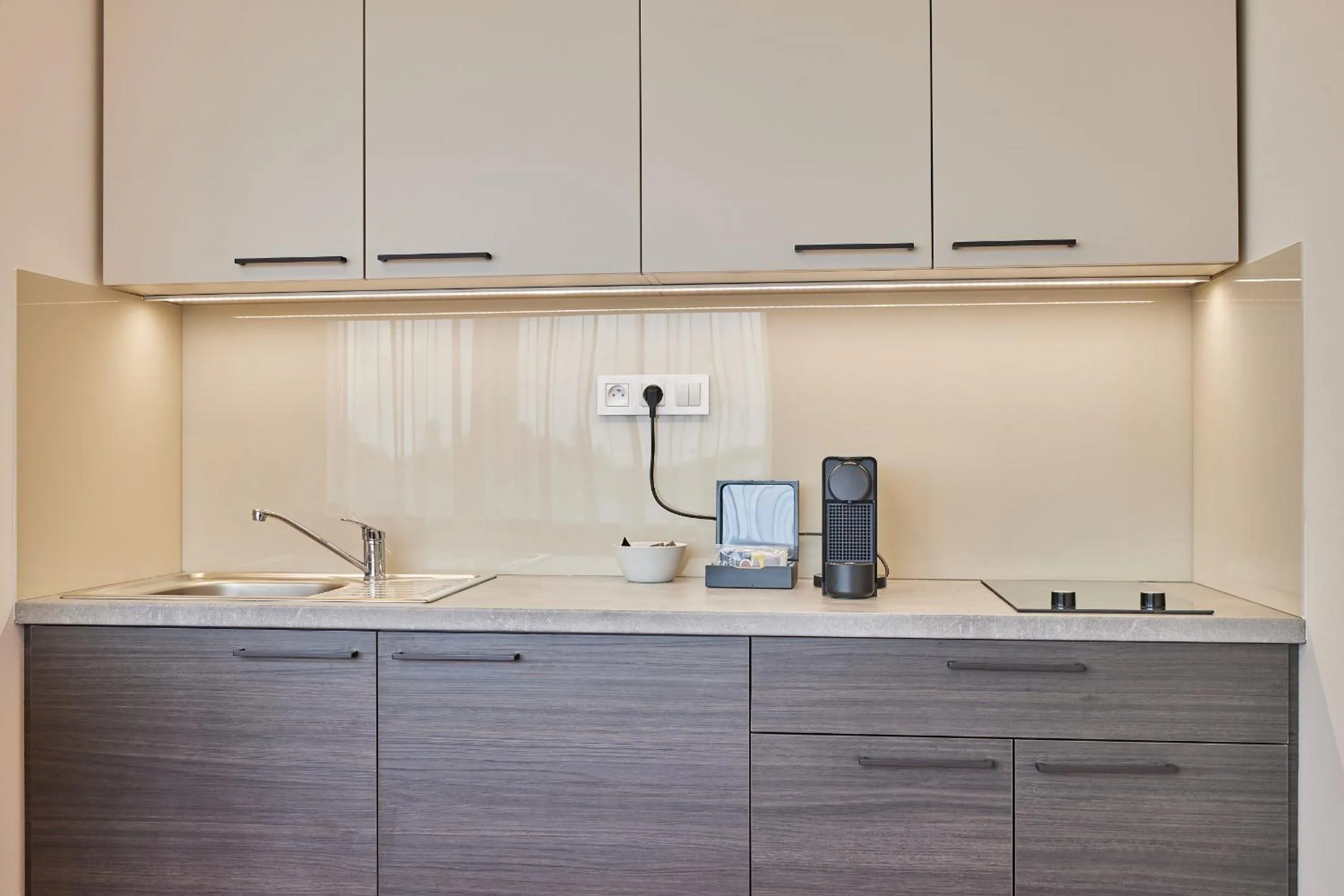 Kitchen or kitchenette in Hotel Hertz