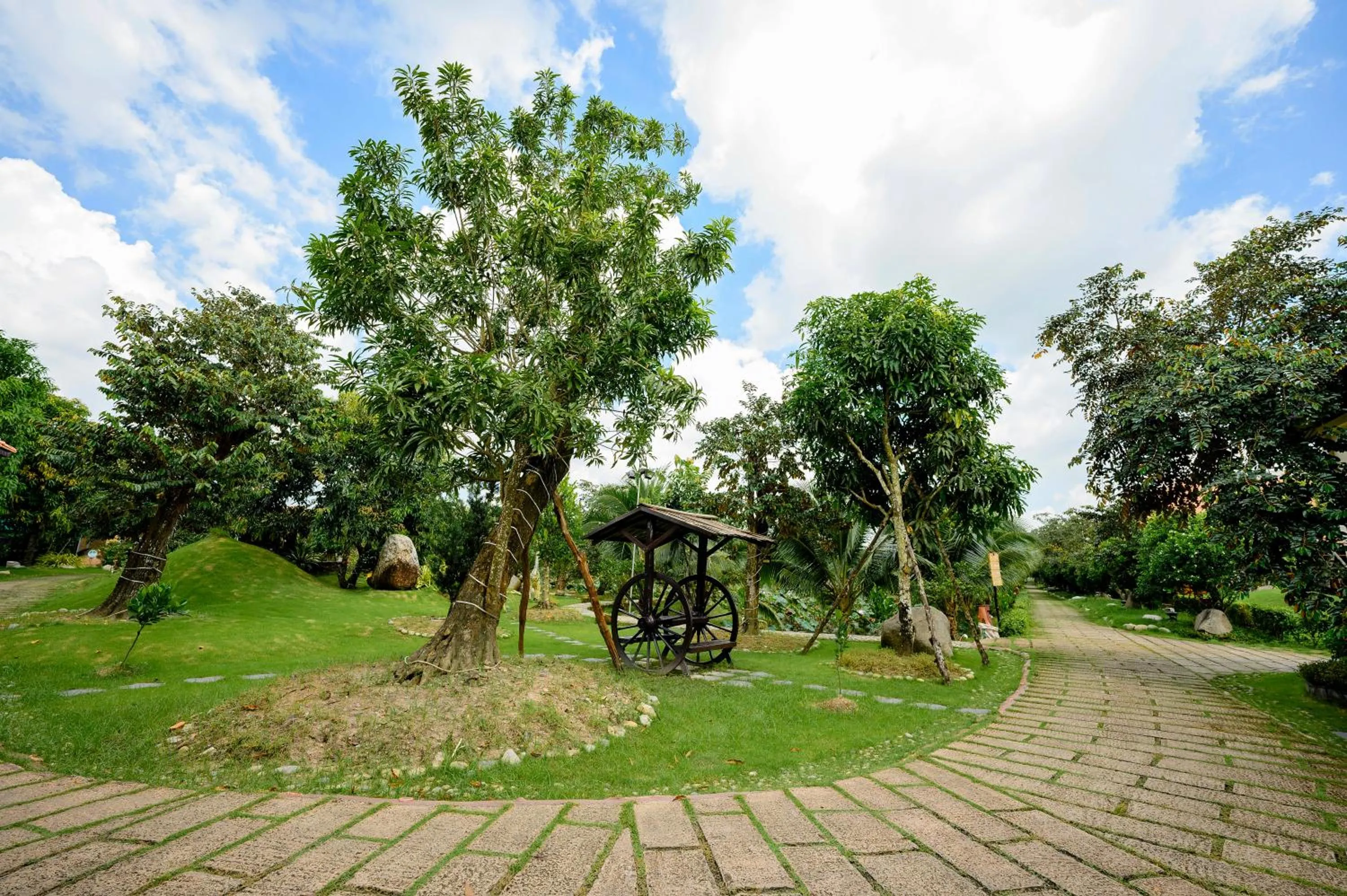 Natural landscape in Cantho Eco Resort