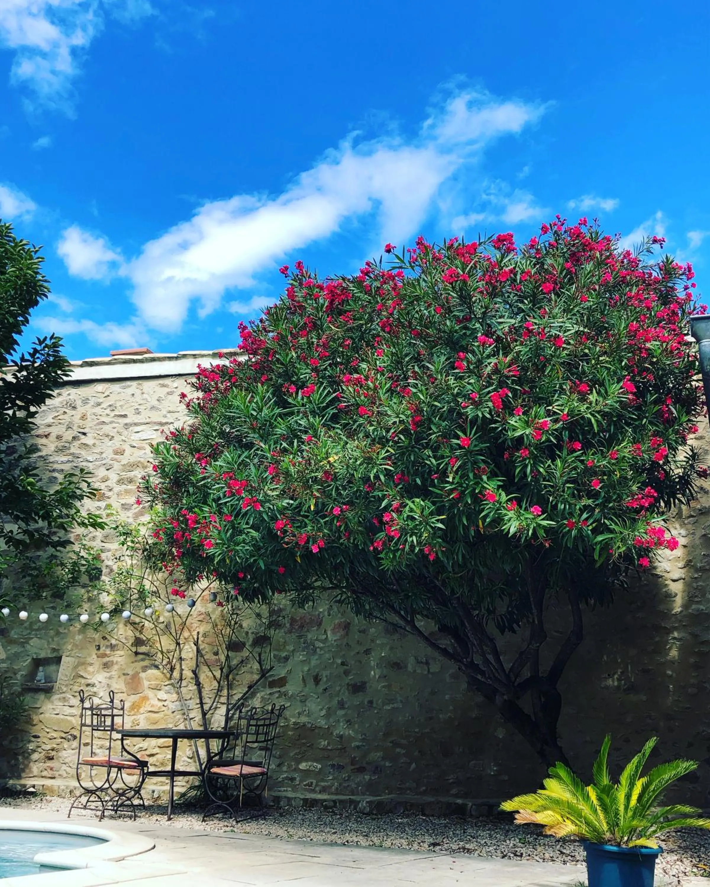 Garden in Maison des Bourgades