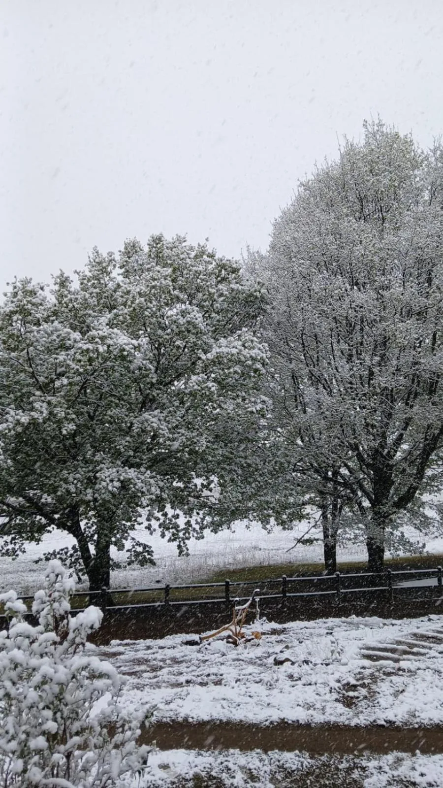 Day in Eland Valley Resort