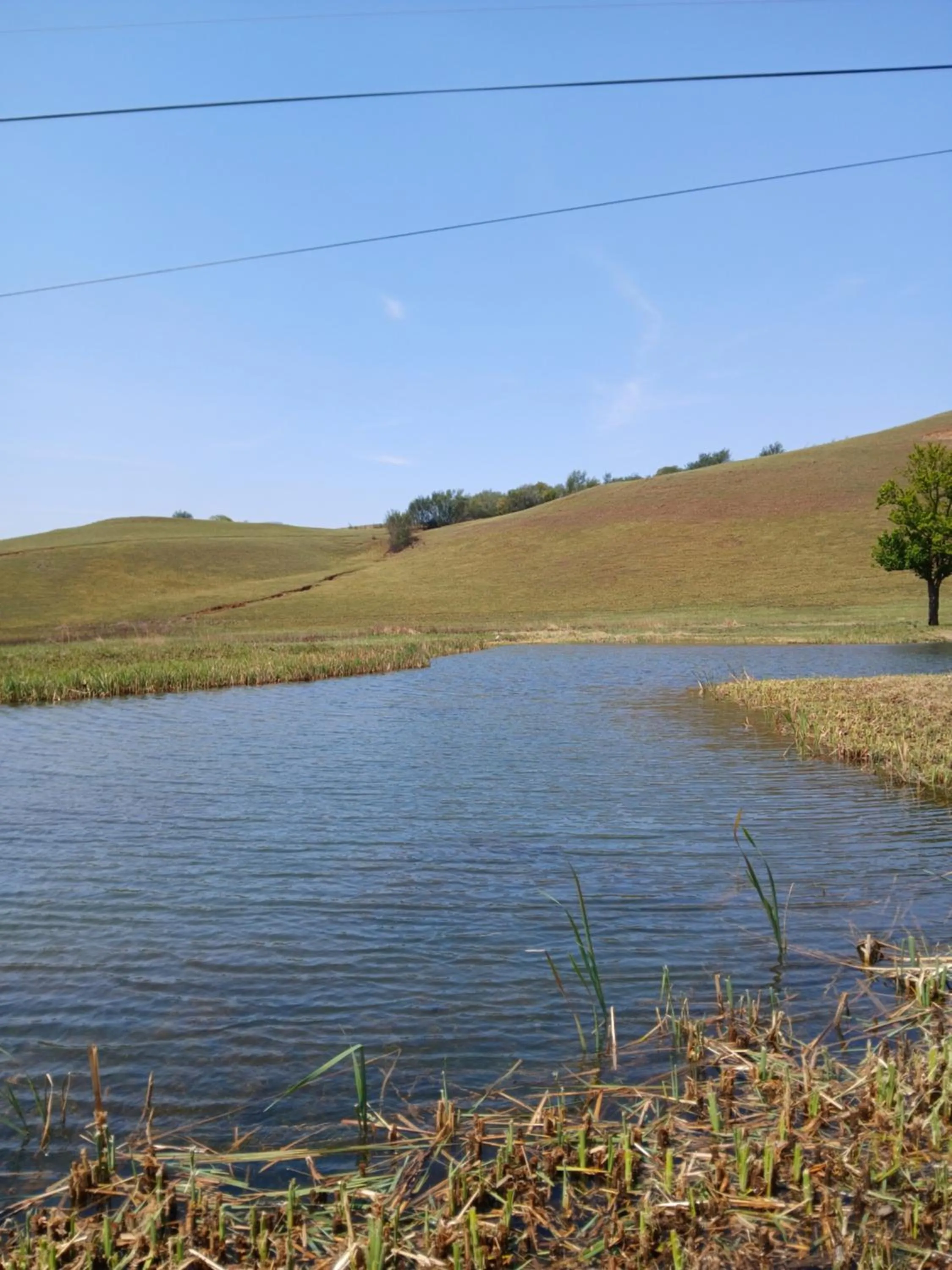 Spring in Eland Valley Resort