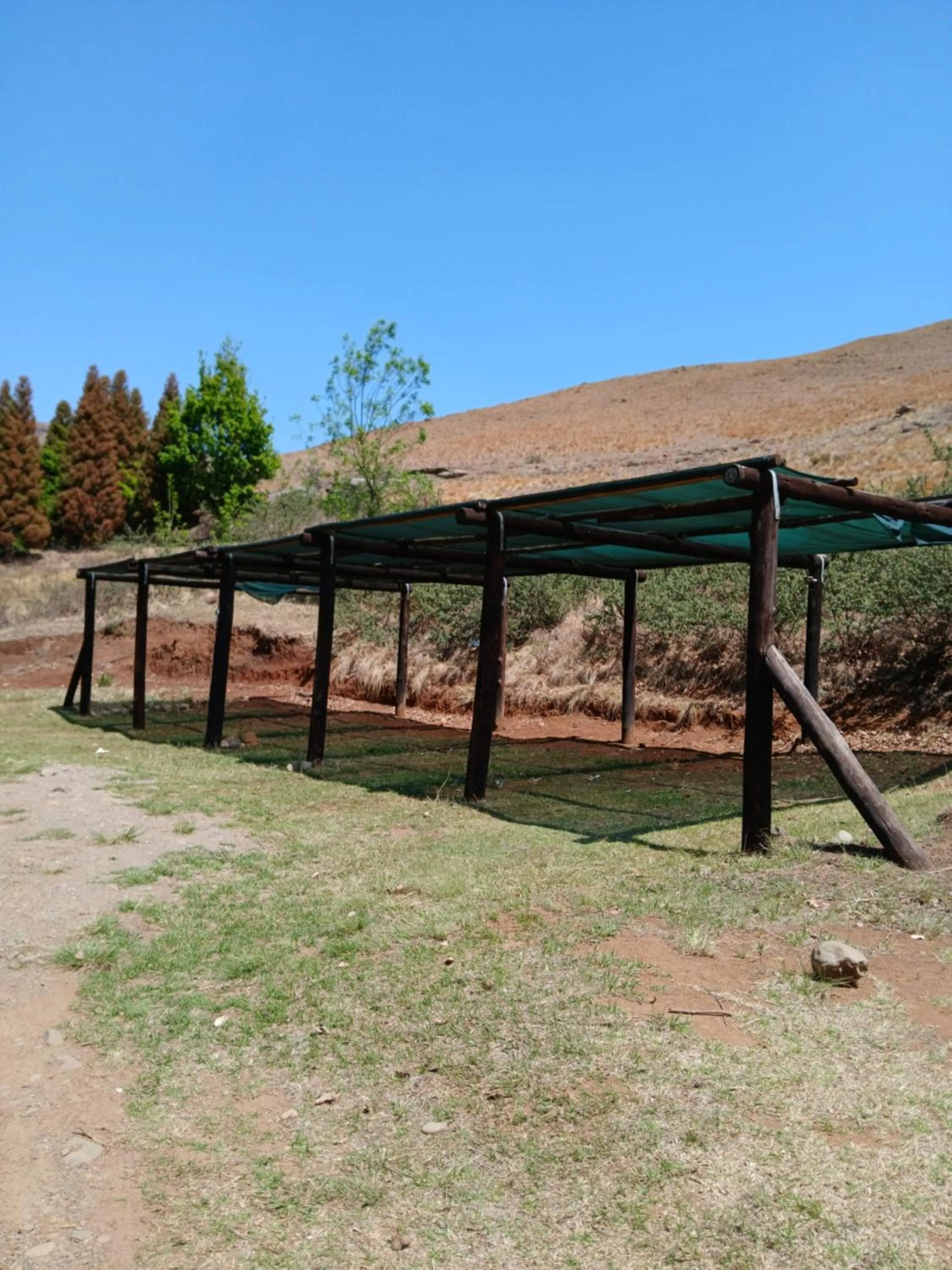 Spring in Eland Valley Resort