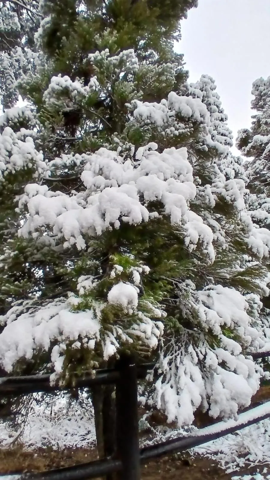 Day in Eland Valley Resort