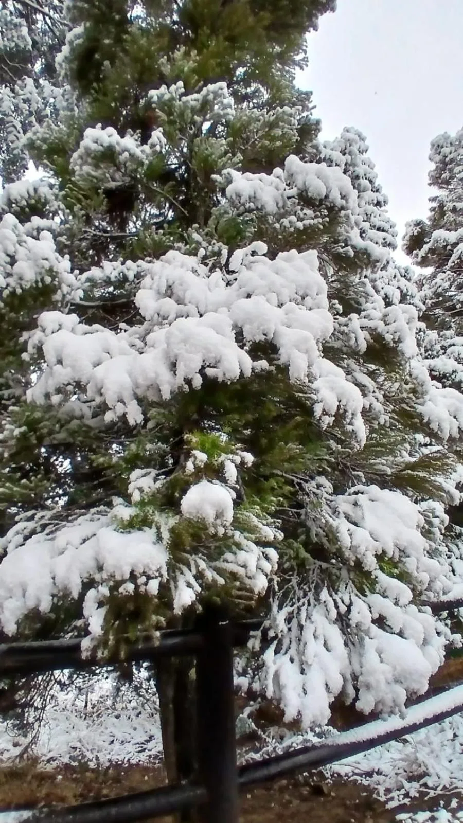 Day in Eland Valley Resort