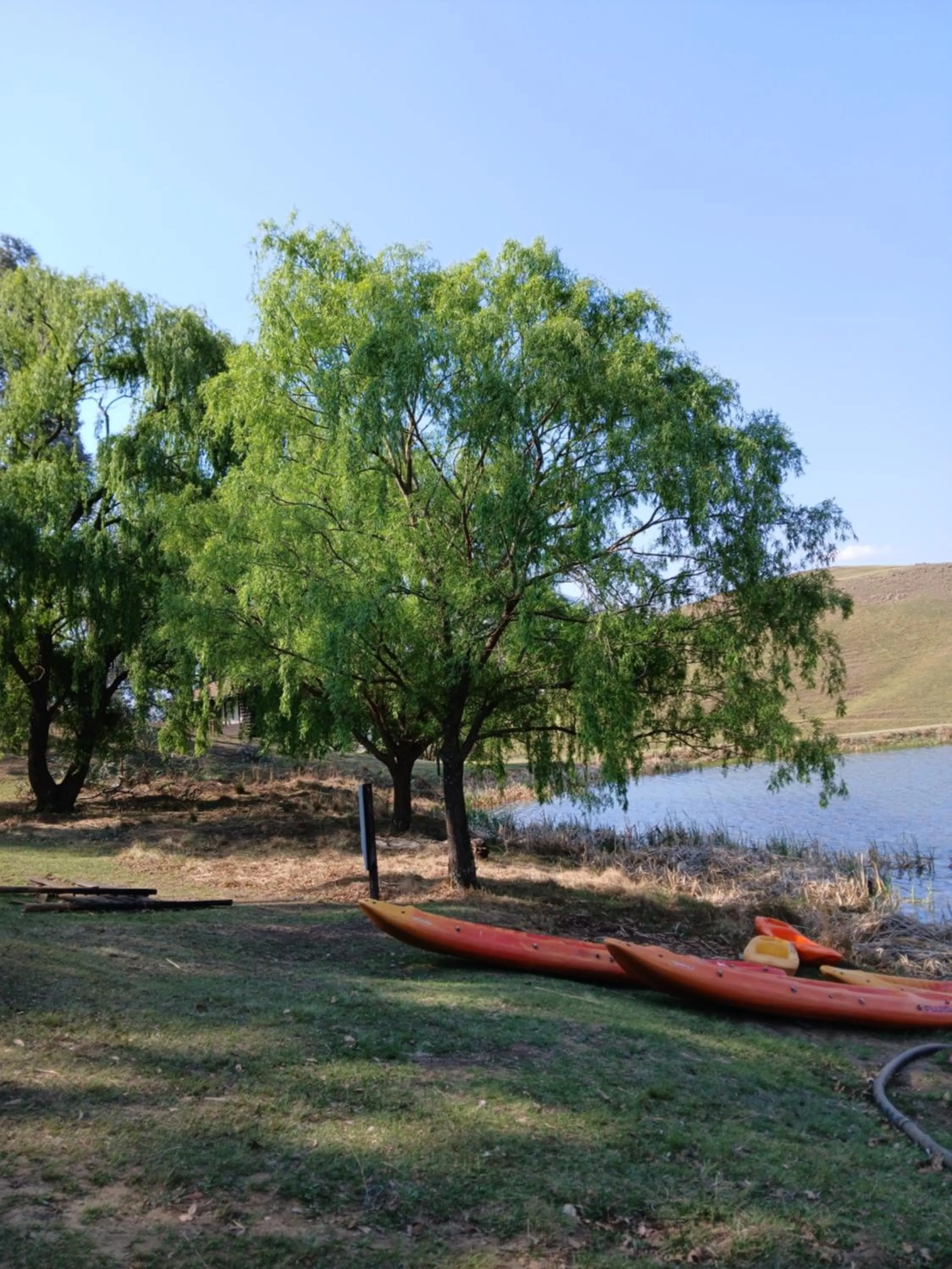 Spring in Eland Valley Resort