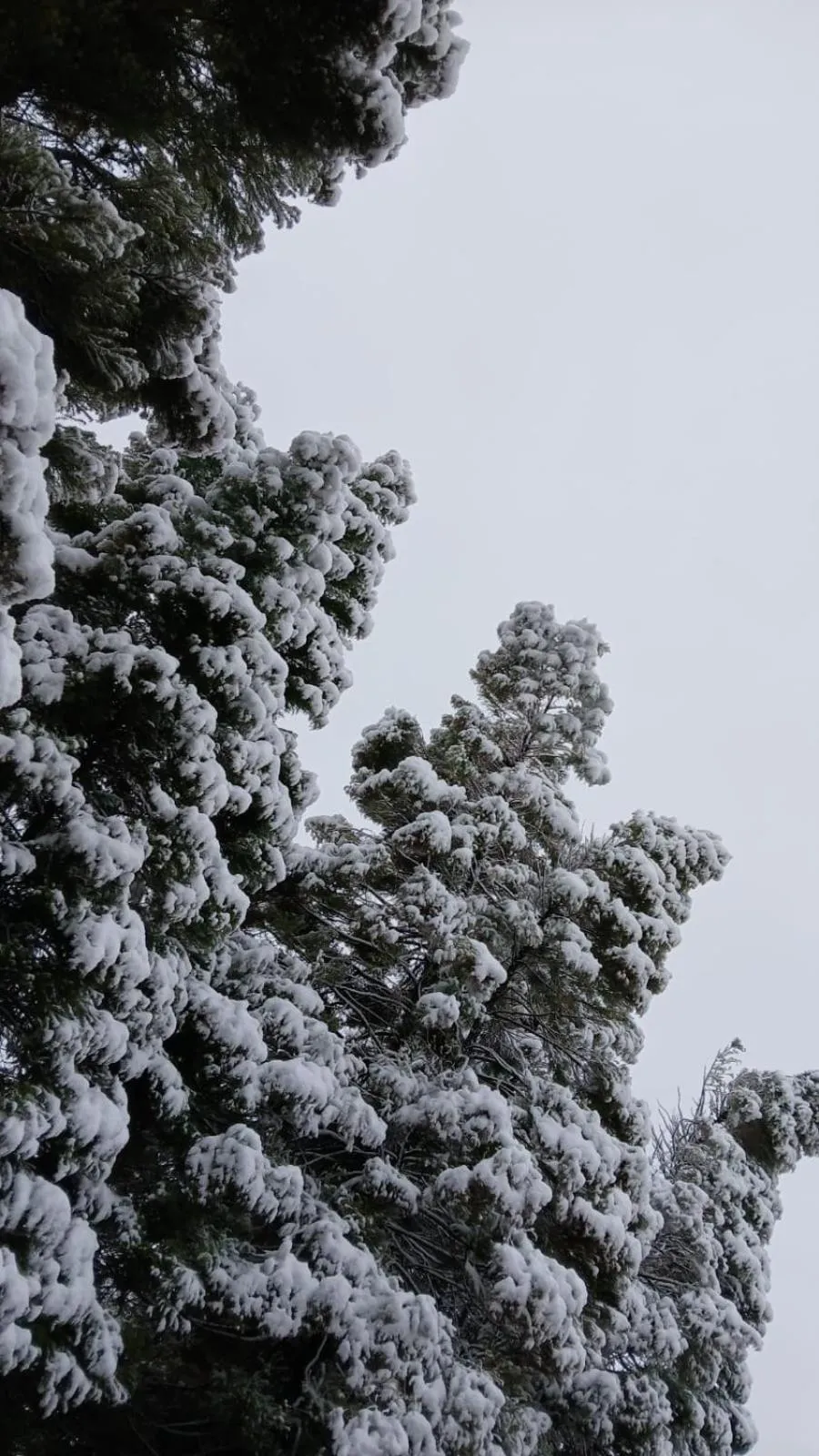 Day in Eland Valley Resort