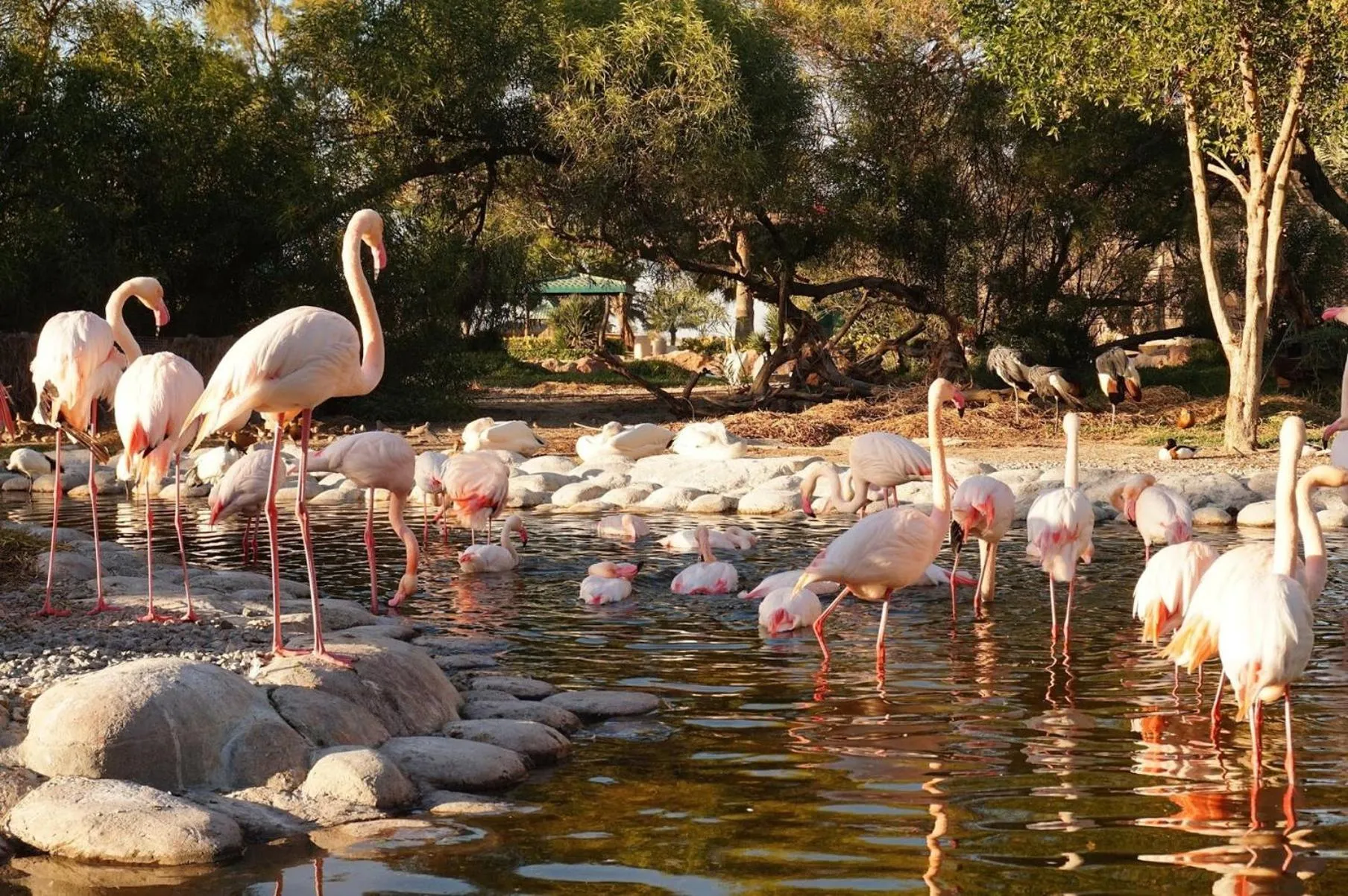 Nearby landmark in Crowne Plaza Bahrain by IHG