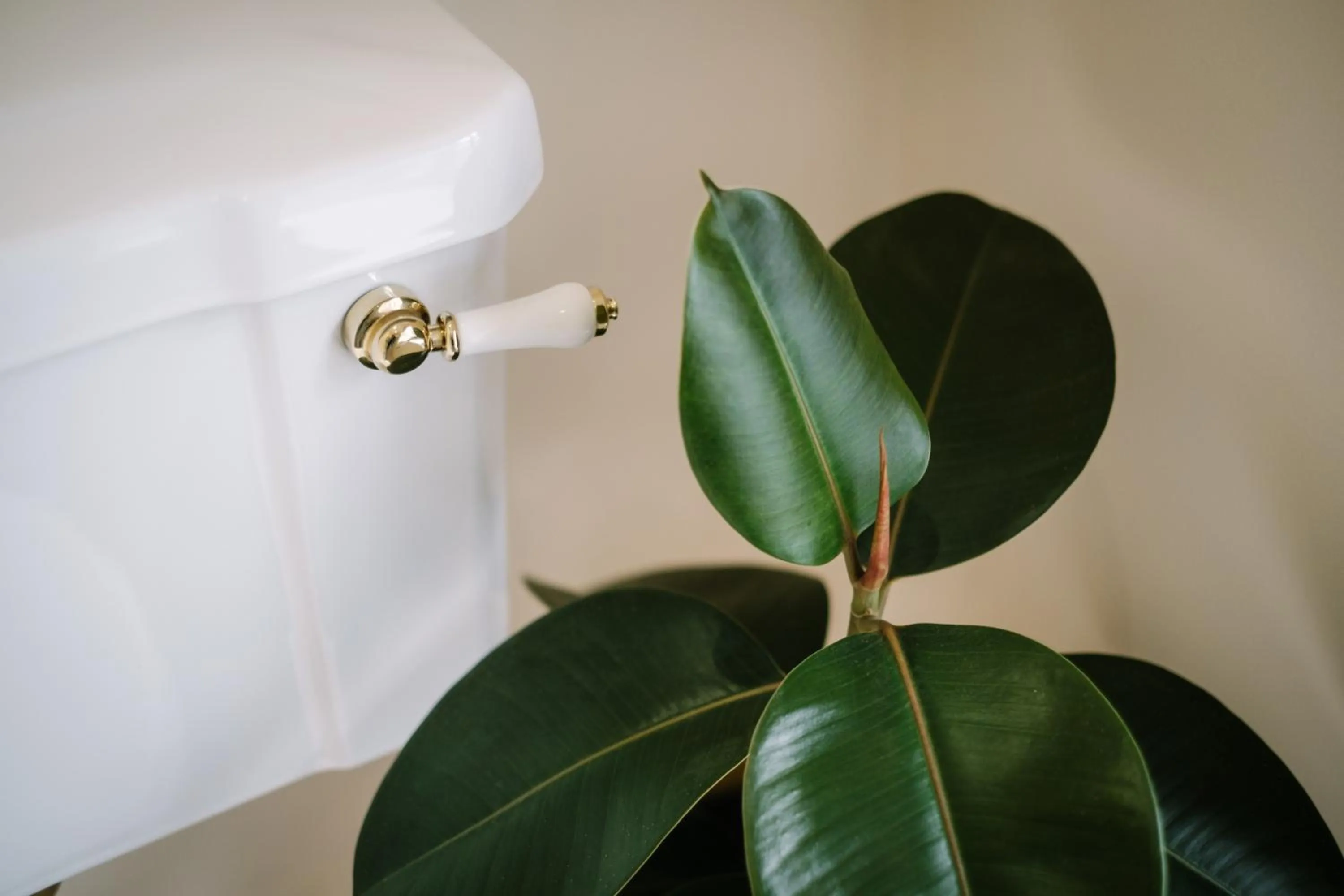 The Den - The White House Windermere