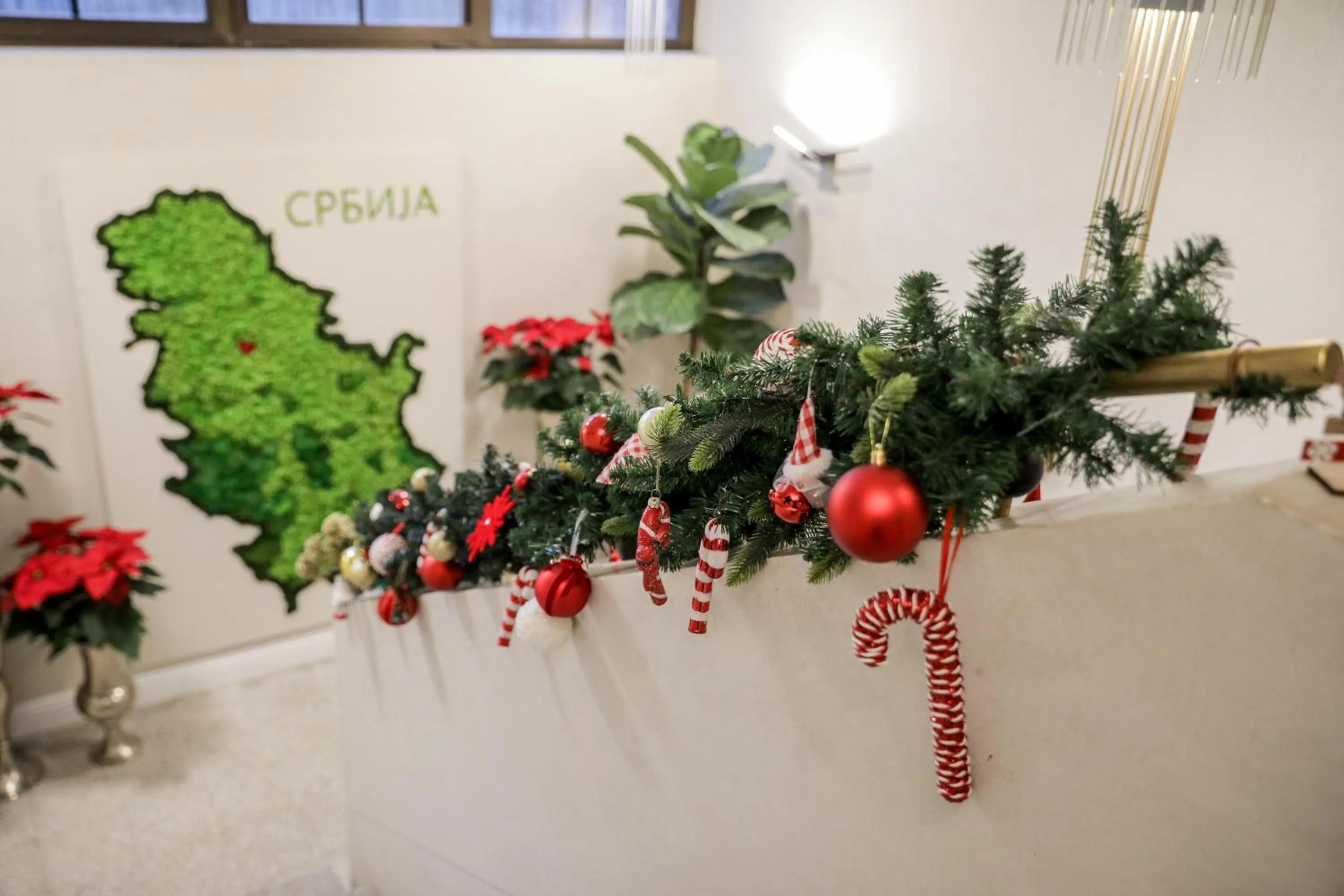 Property building in Hotel Botanica