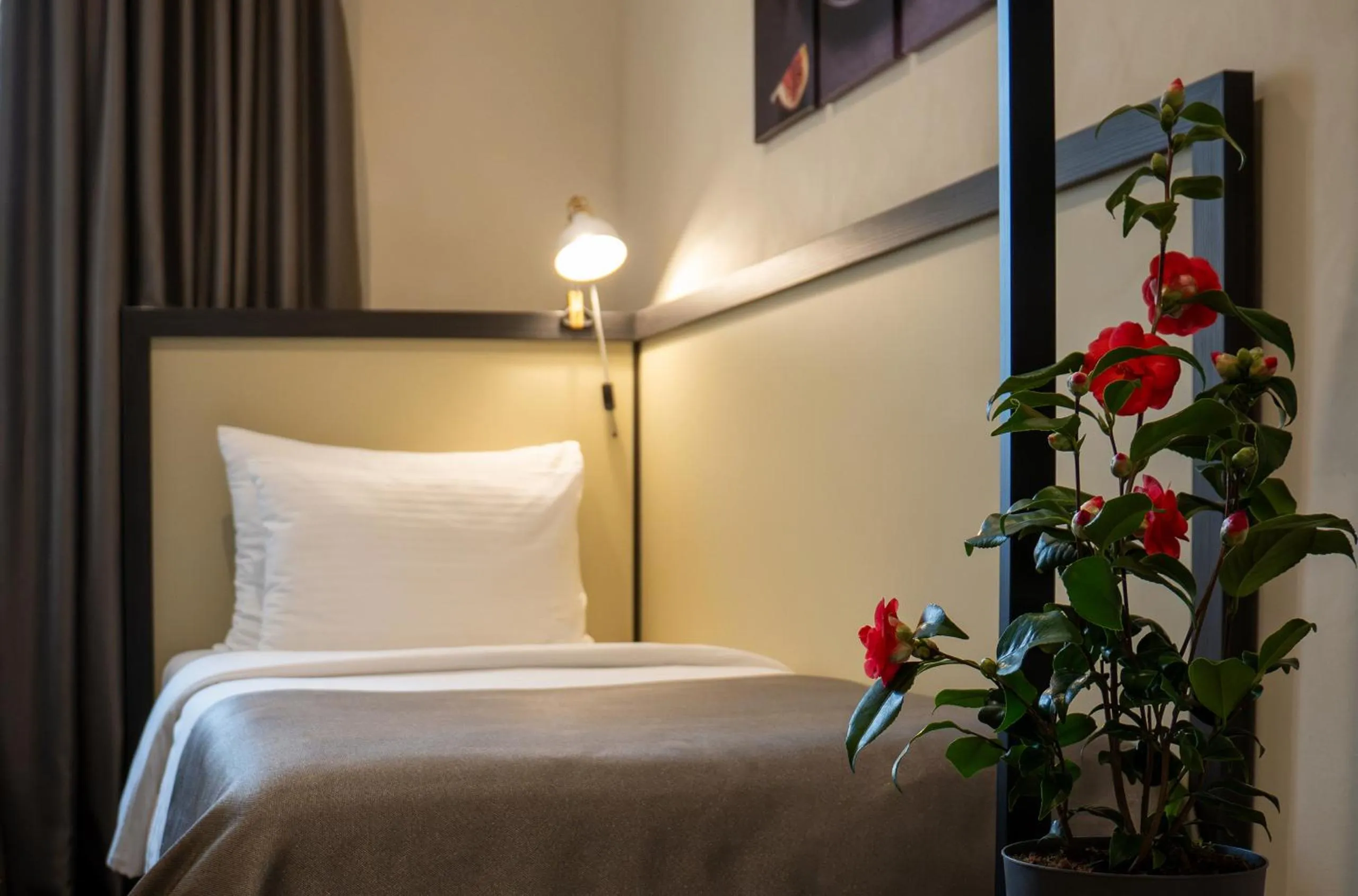 Bed in Hotel Botanica