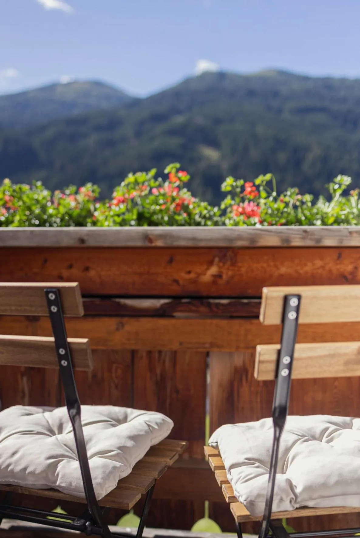 View (from property/room) in Alpen Gasthof Apartments Hohe Burg