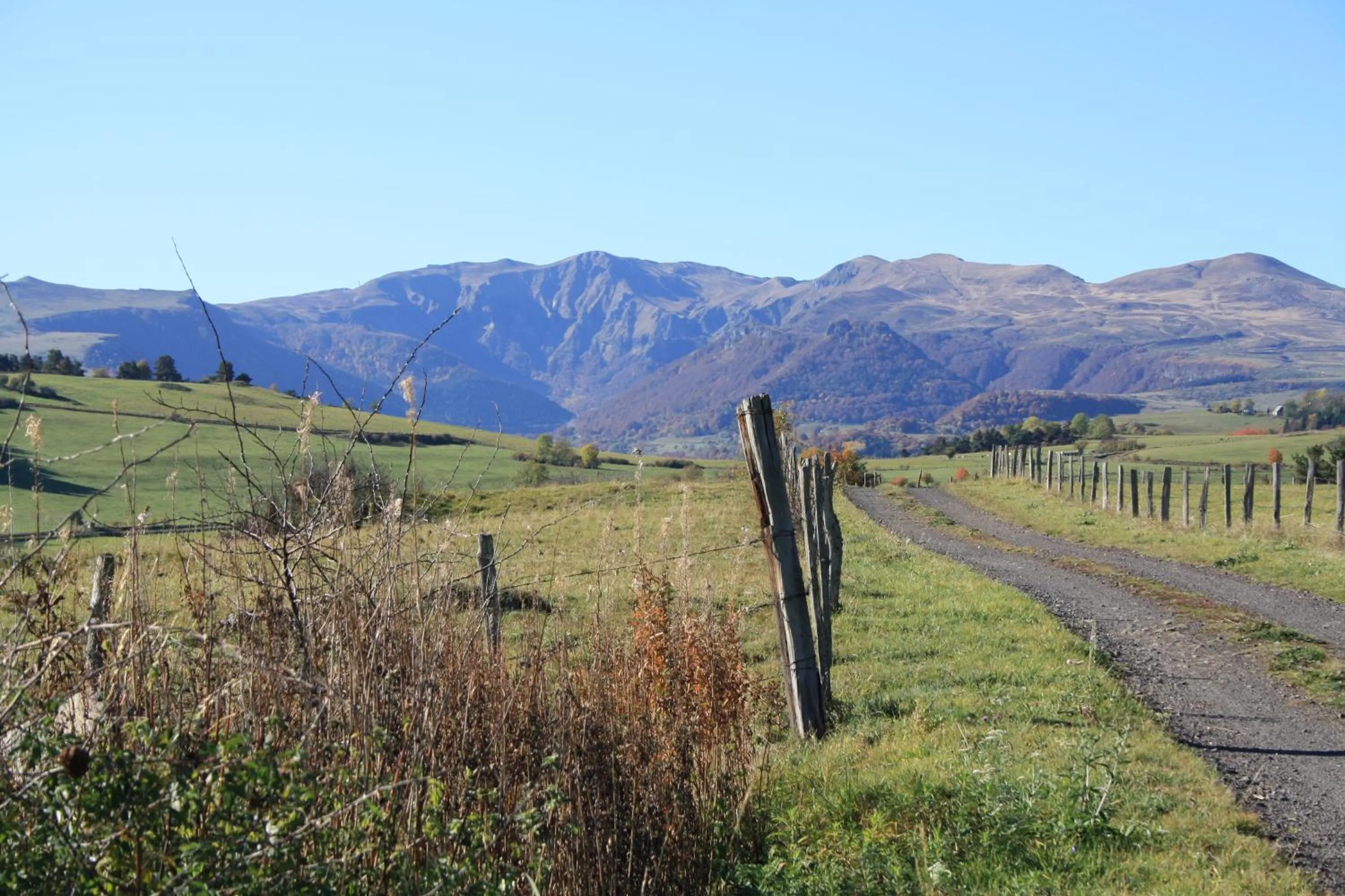 Natural landscape in Hôtel Restaurant Le Grillon
