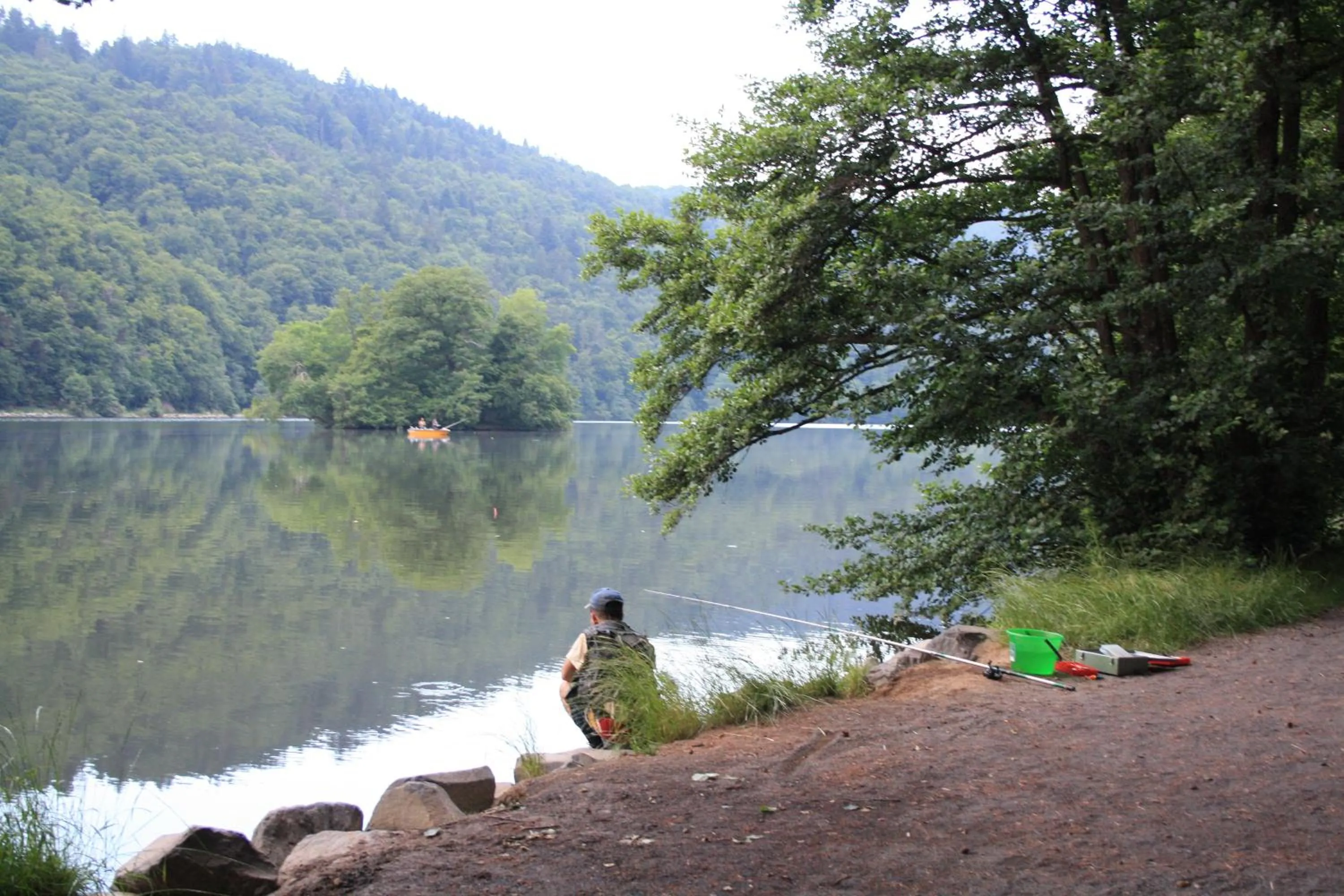 Natural landscape in Hôtel Restaurant Le Grillon