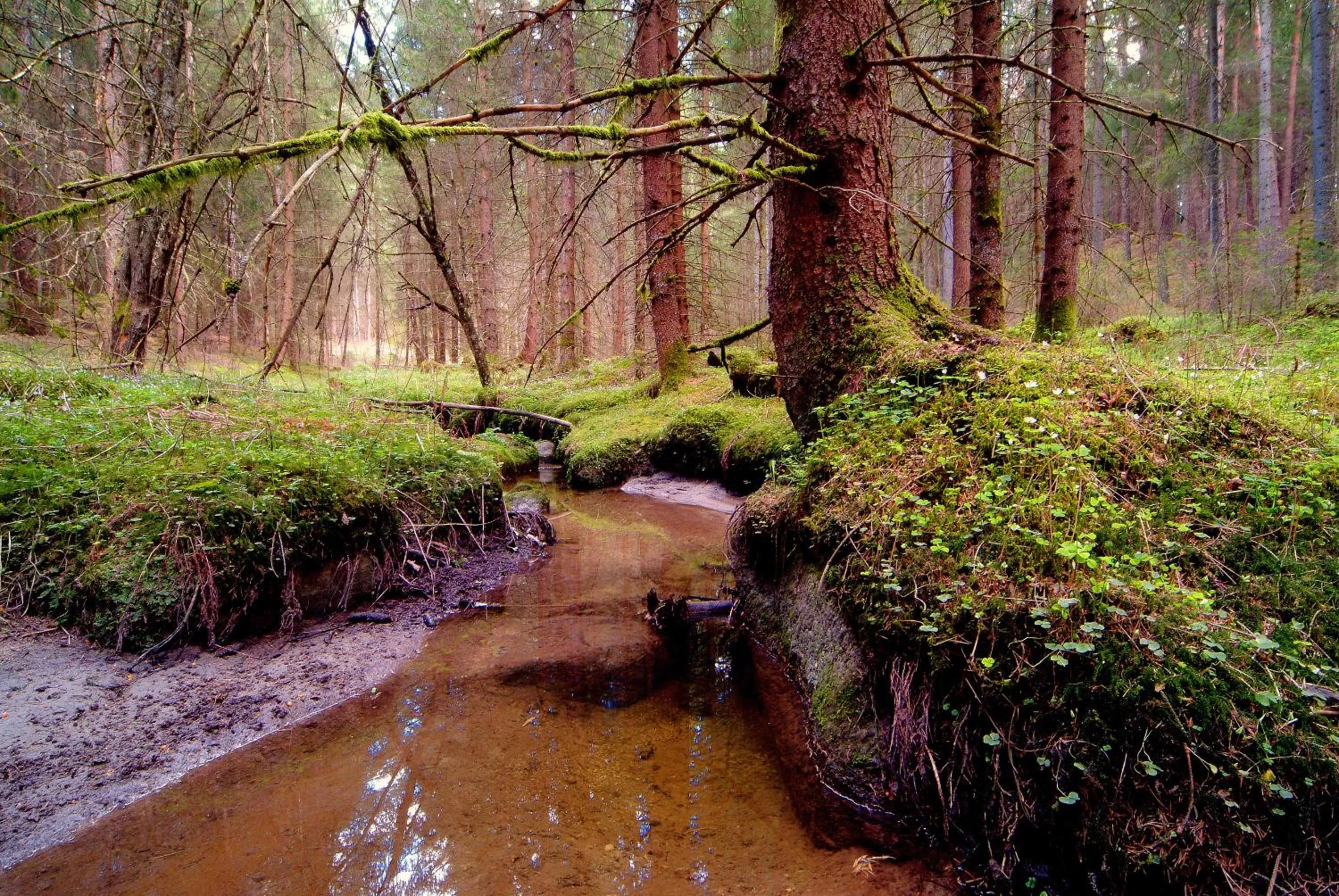 Residence Vis à Vis