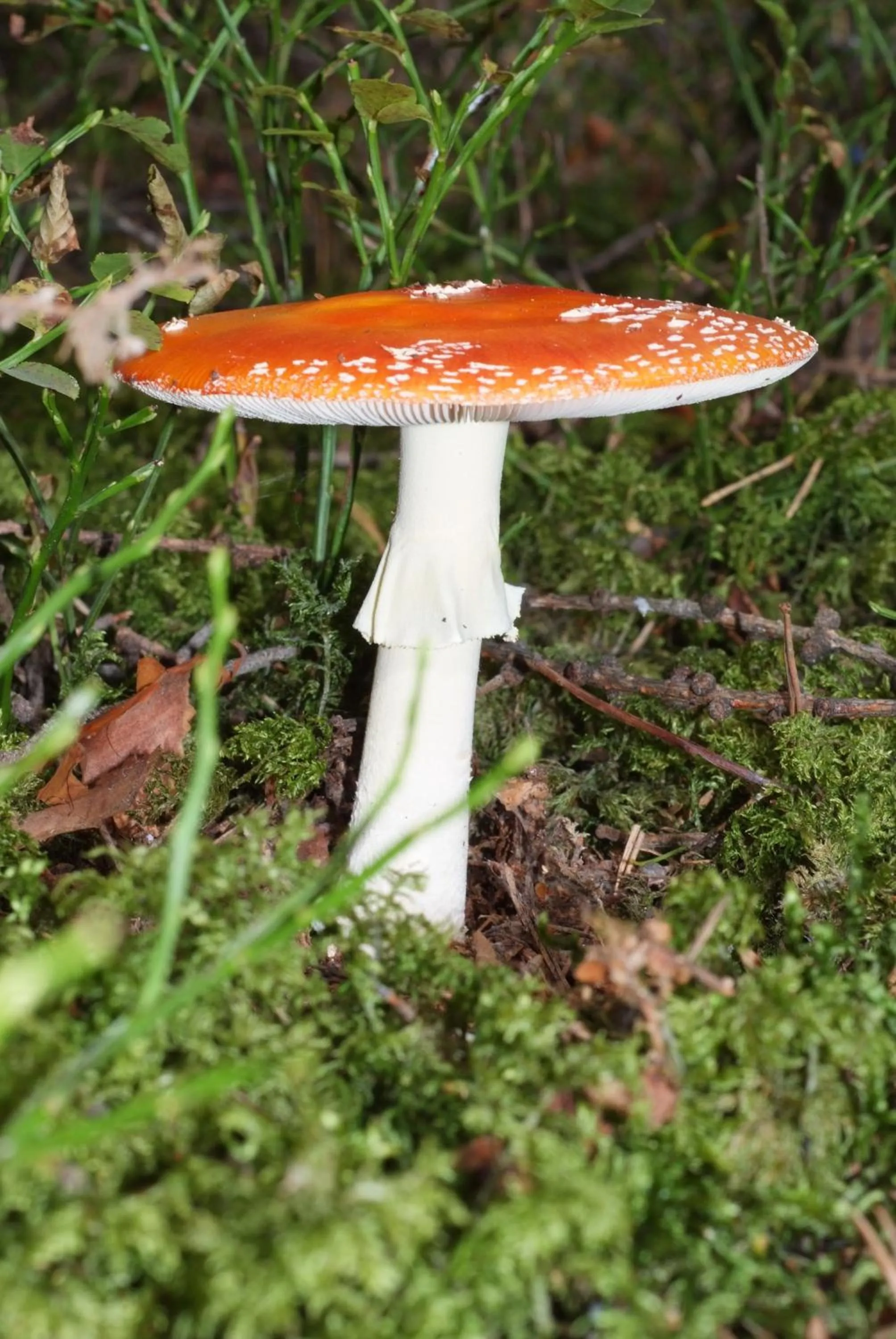 Residence Vis à Vis