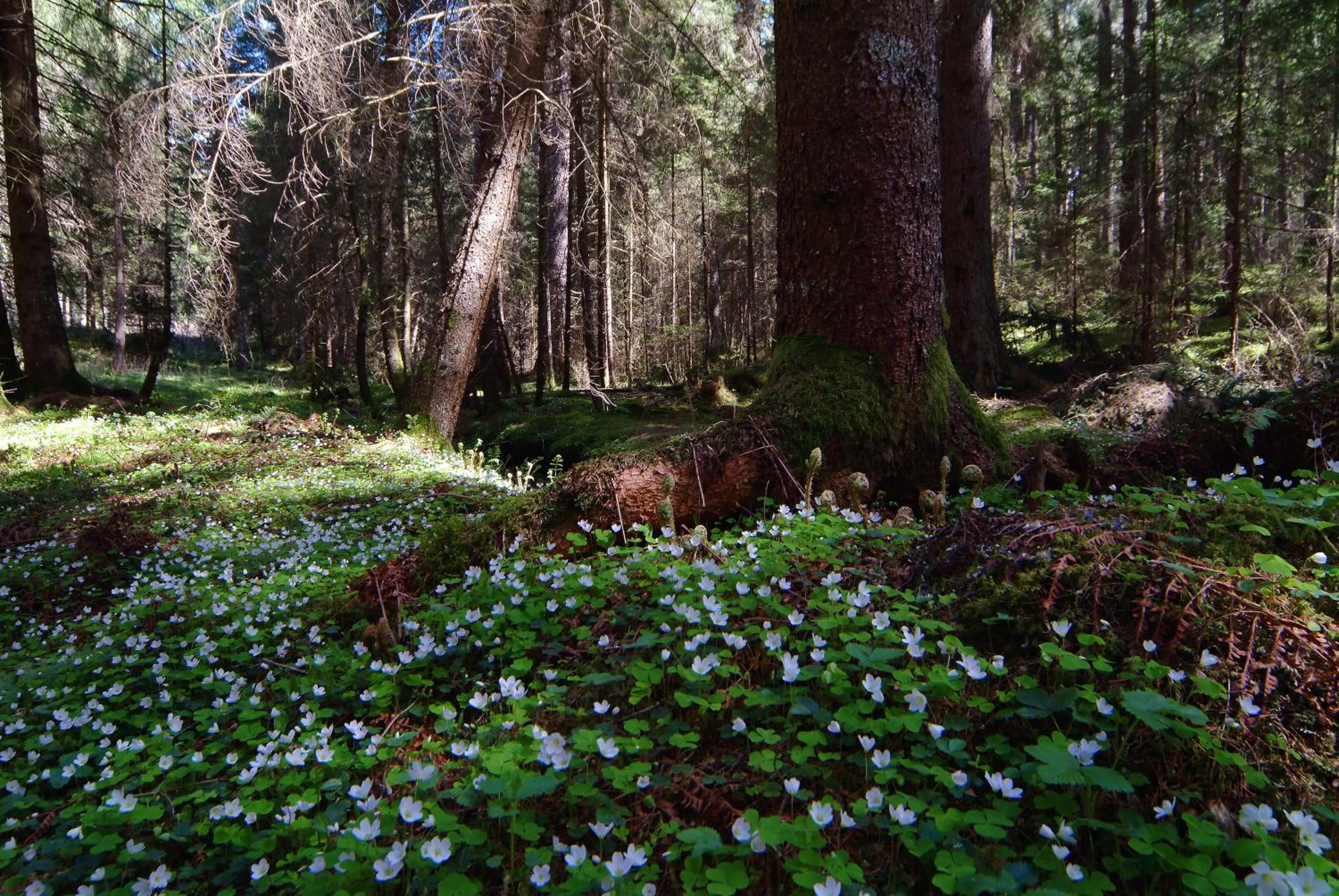 Residence Vis à Vis