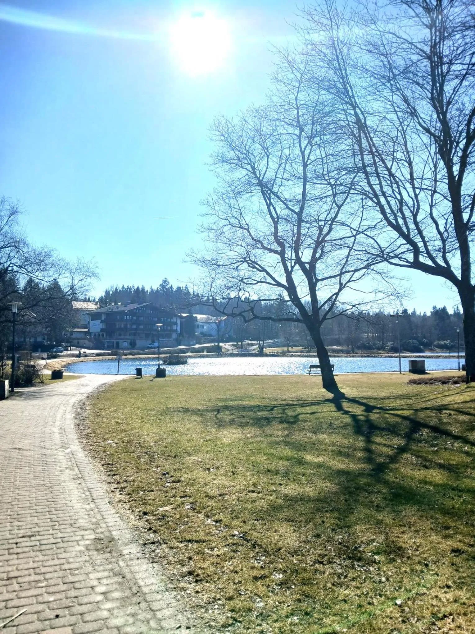 Natural landscape in Hotel Hahnenkleer Hof