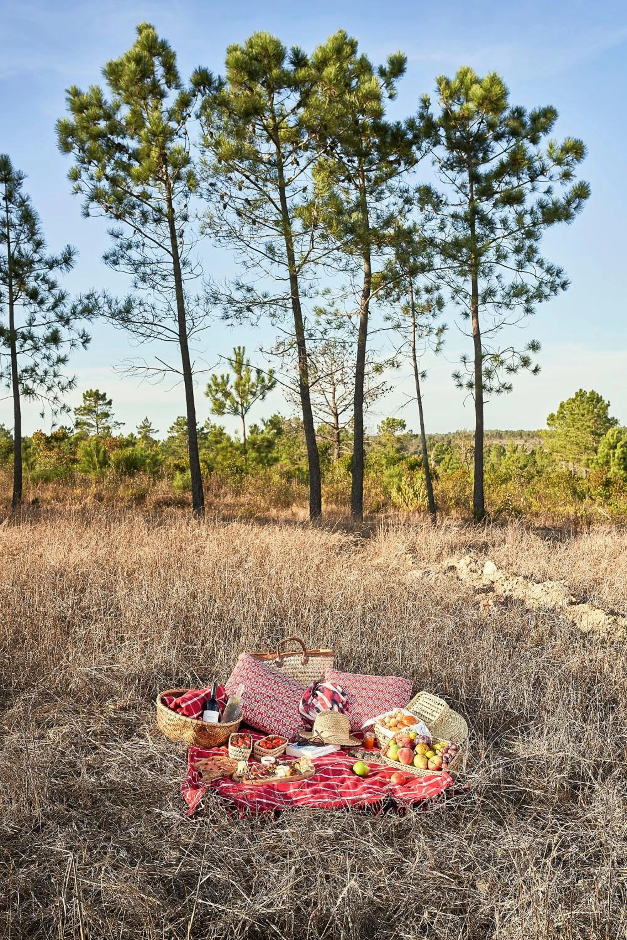 Activities in Praia do Canal Nature Retreat - Small Luxury Hotels of the World