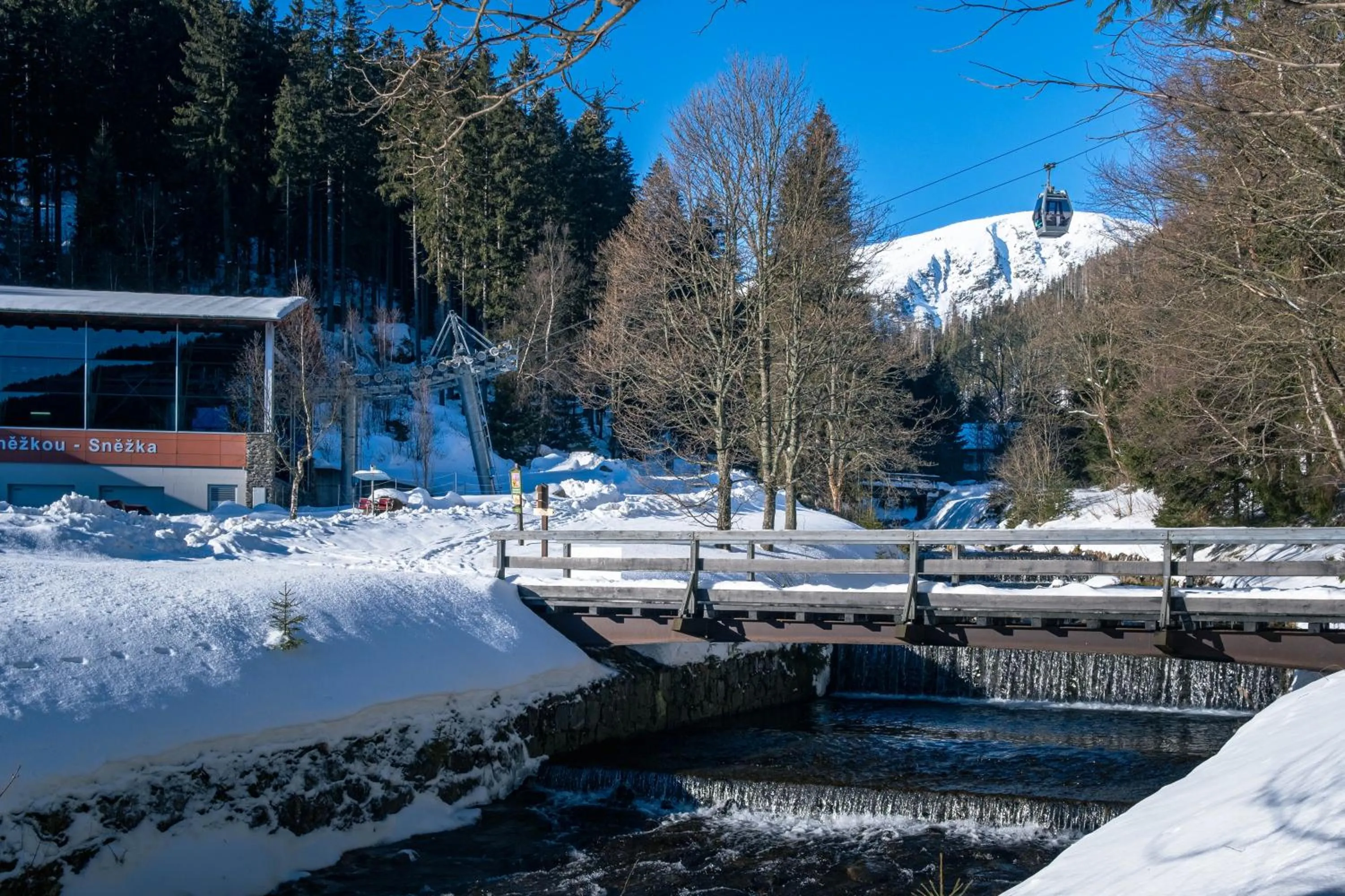 Property building in CHATA LESOVNA