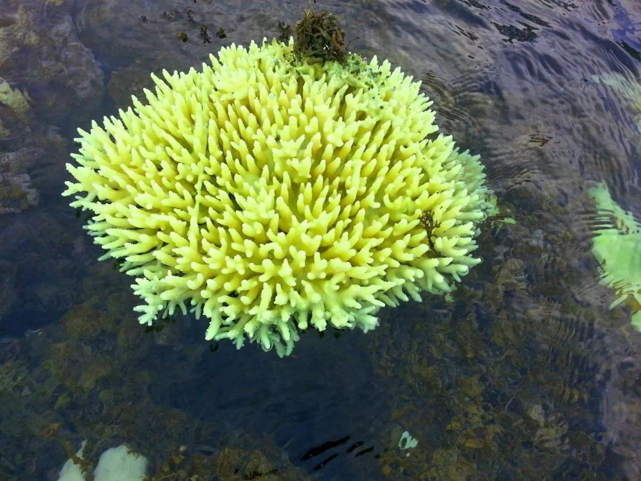 Natural landscape in Try Palace Resort Sihanoukville