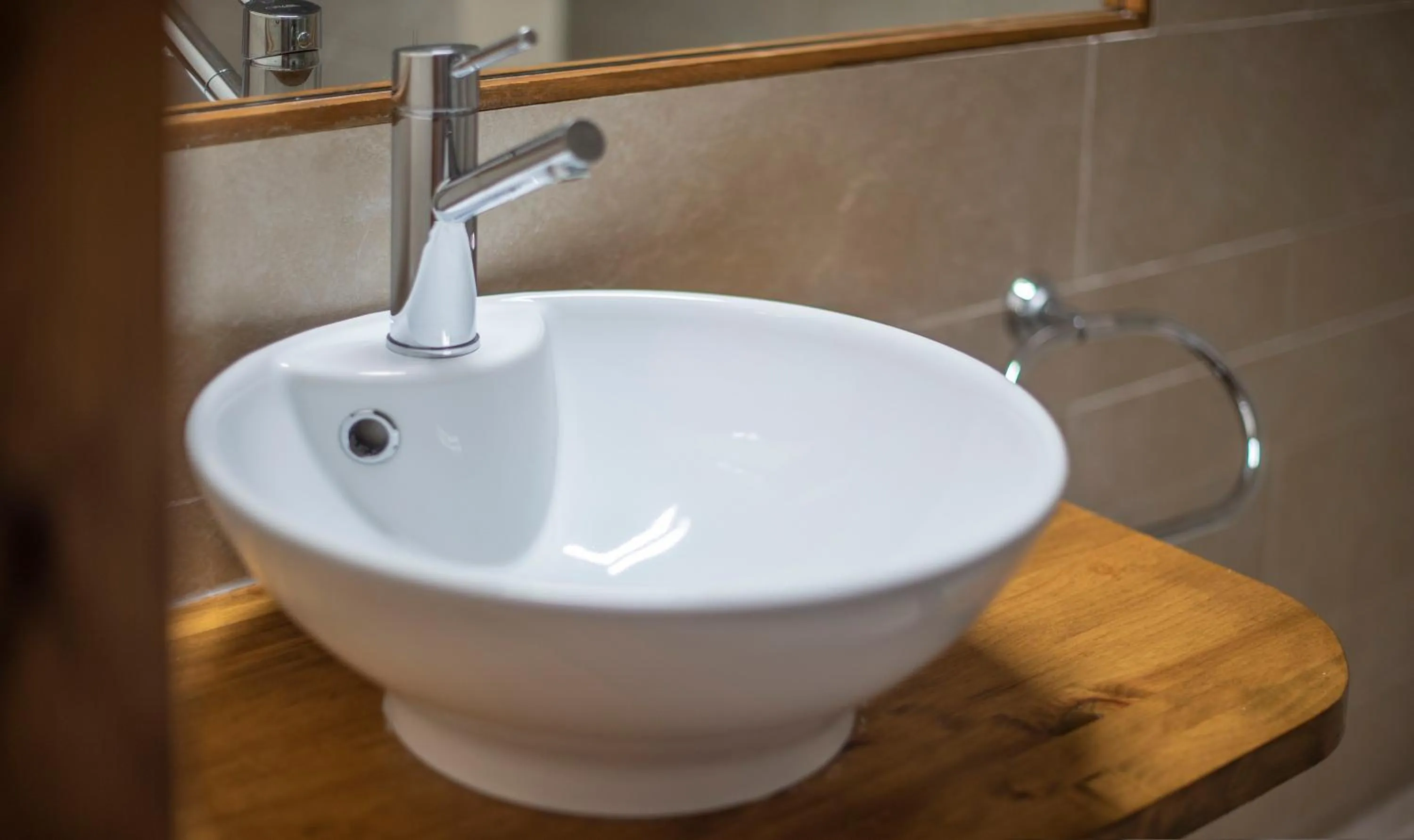 Bathroom in Cal Giral II