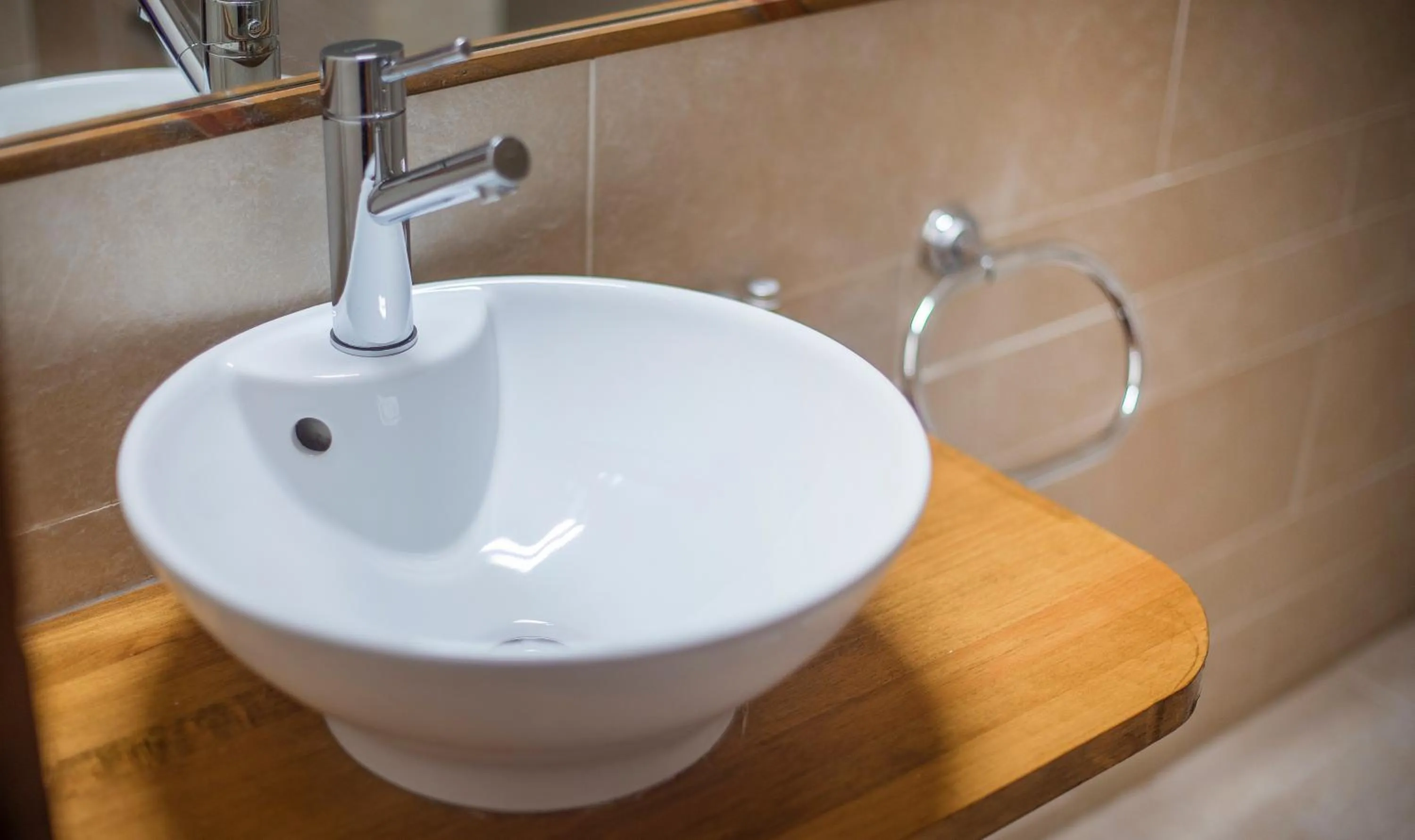 Bathroom in Cal Giral II