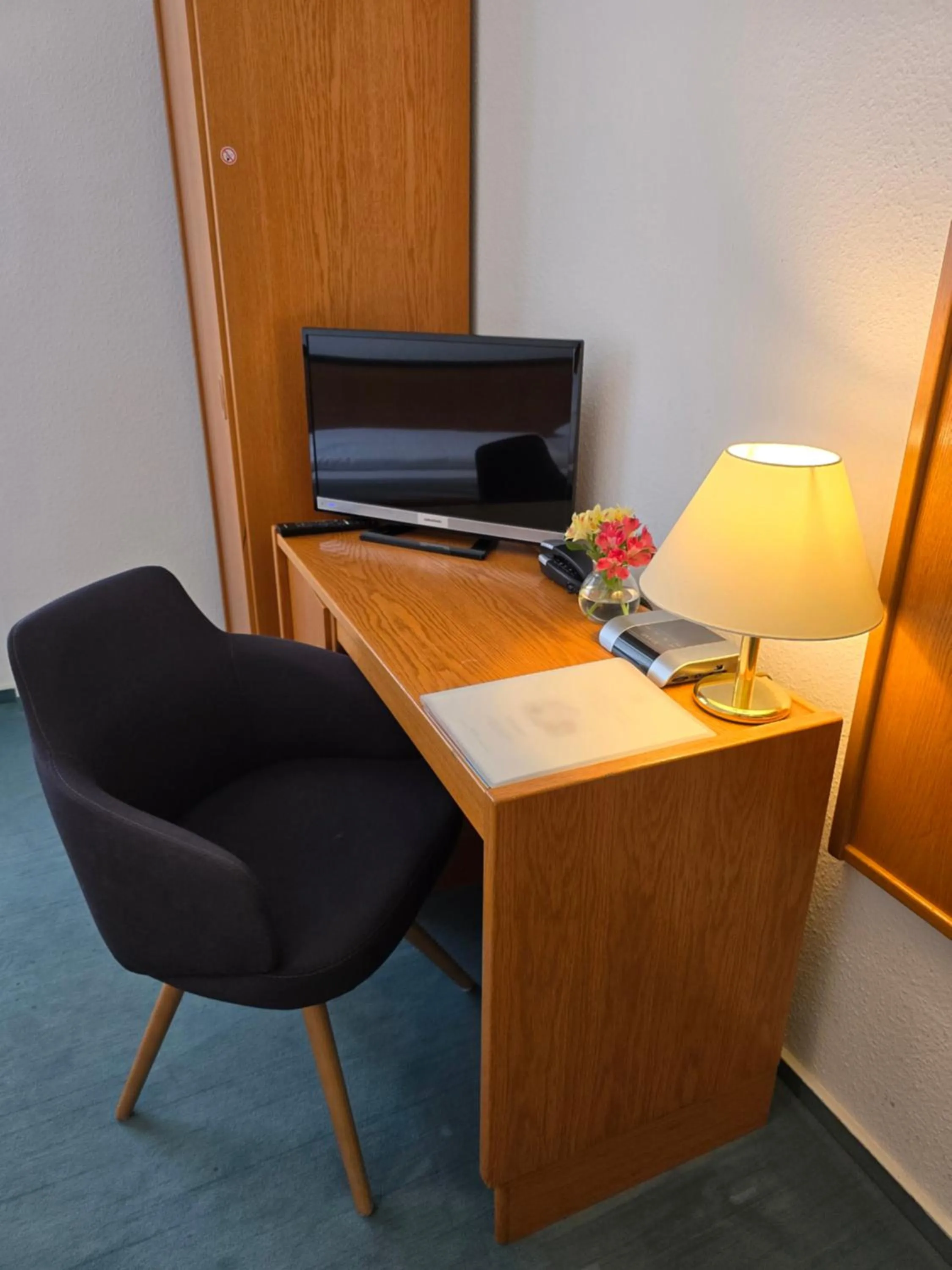 TV and multimedia in Hotel Samson