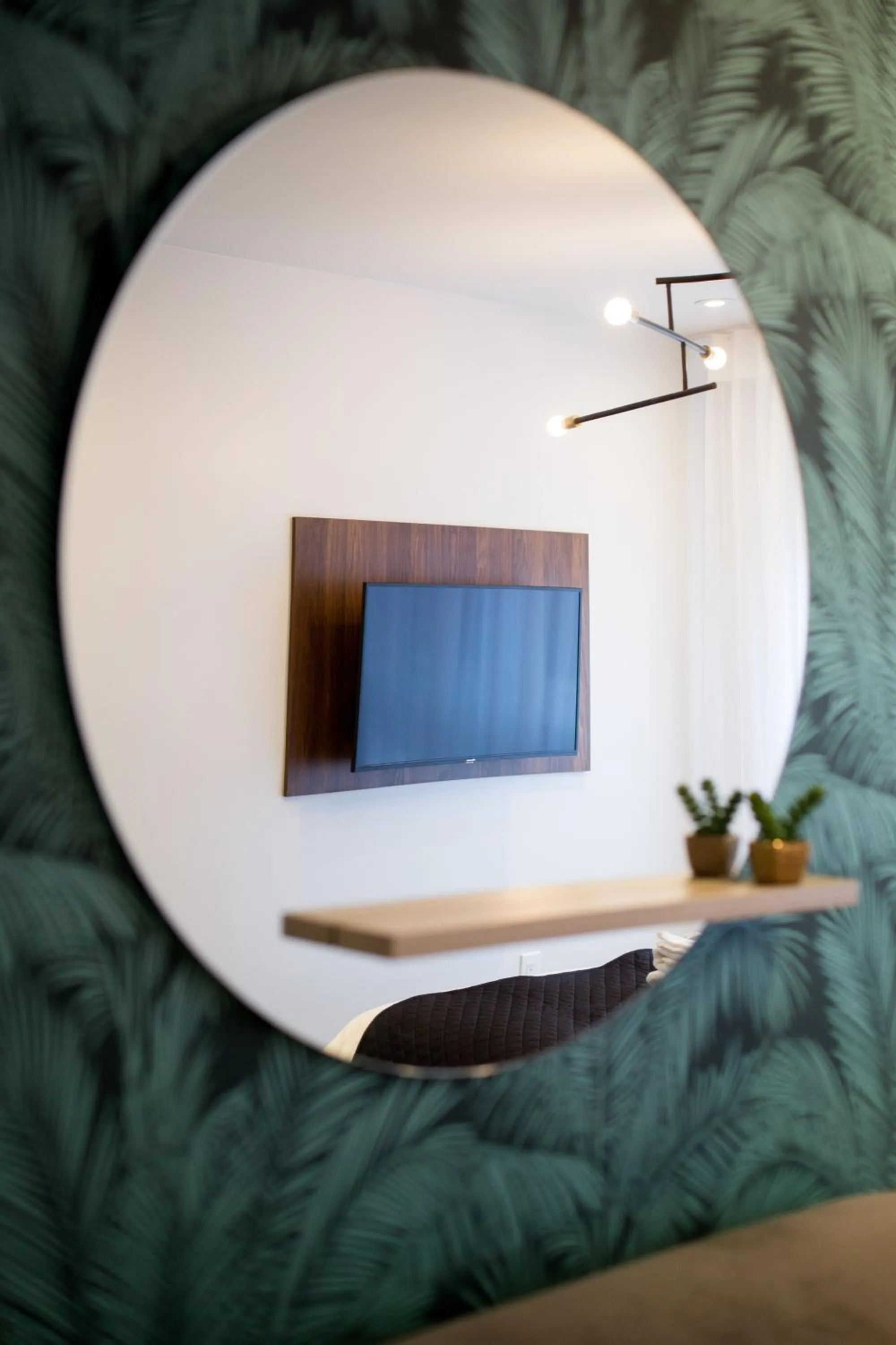 Blue Tropics Studio in Little Italy with kitchen by Den Stays