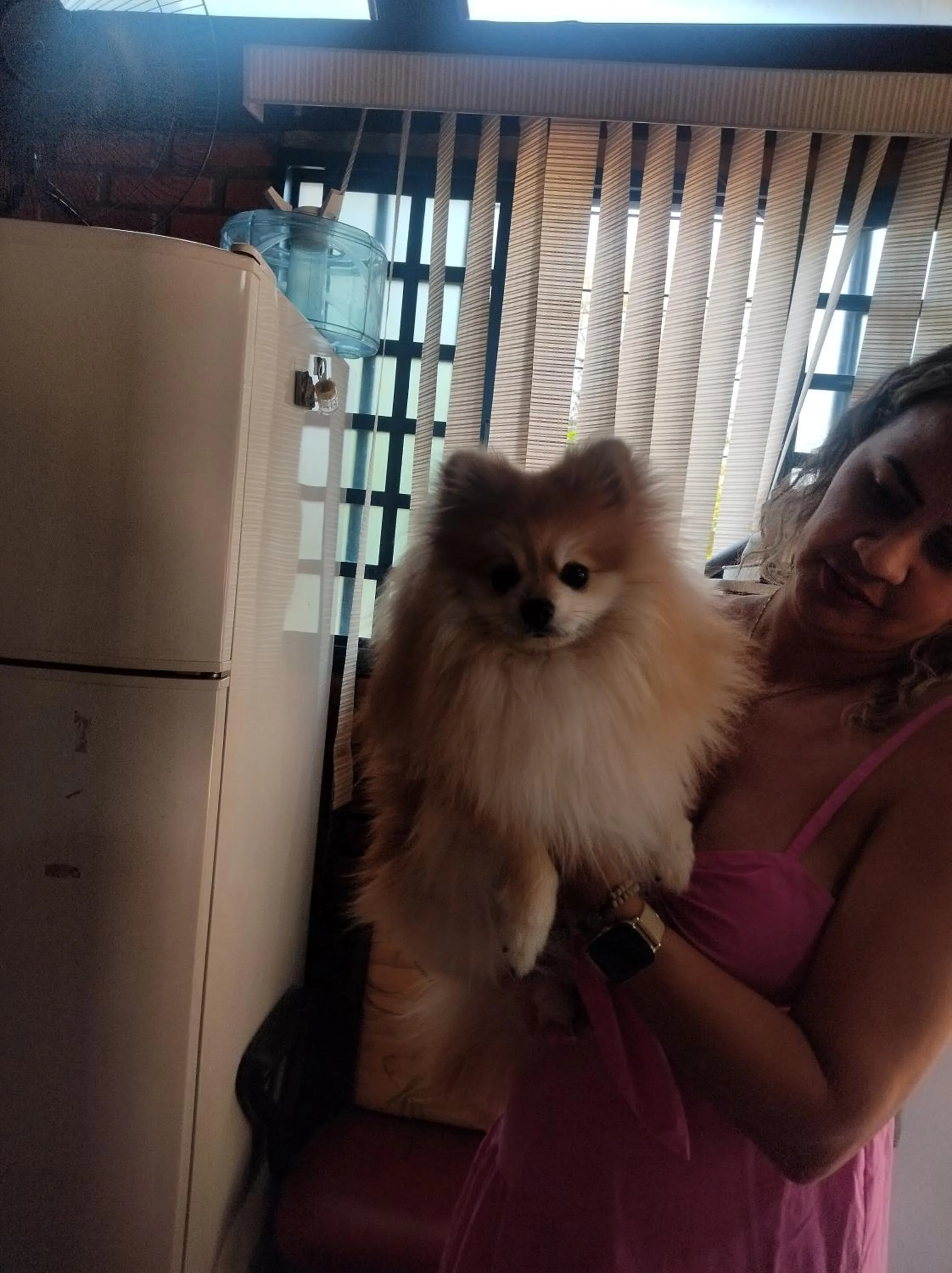 pet friendly in Pousada Canto dos Passaros