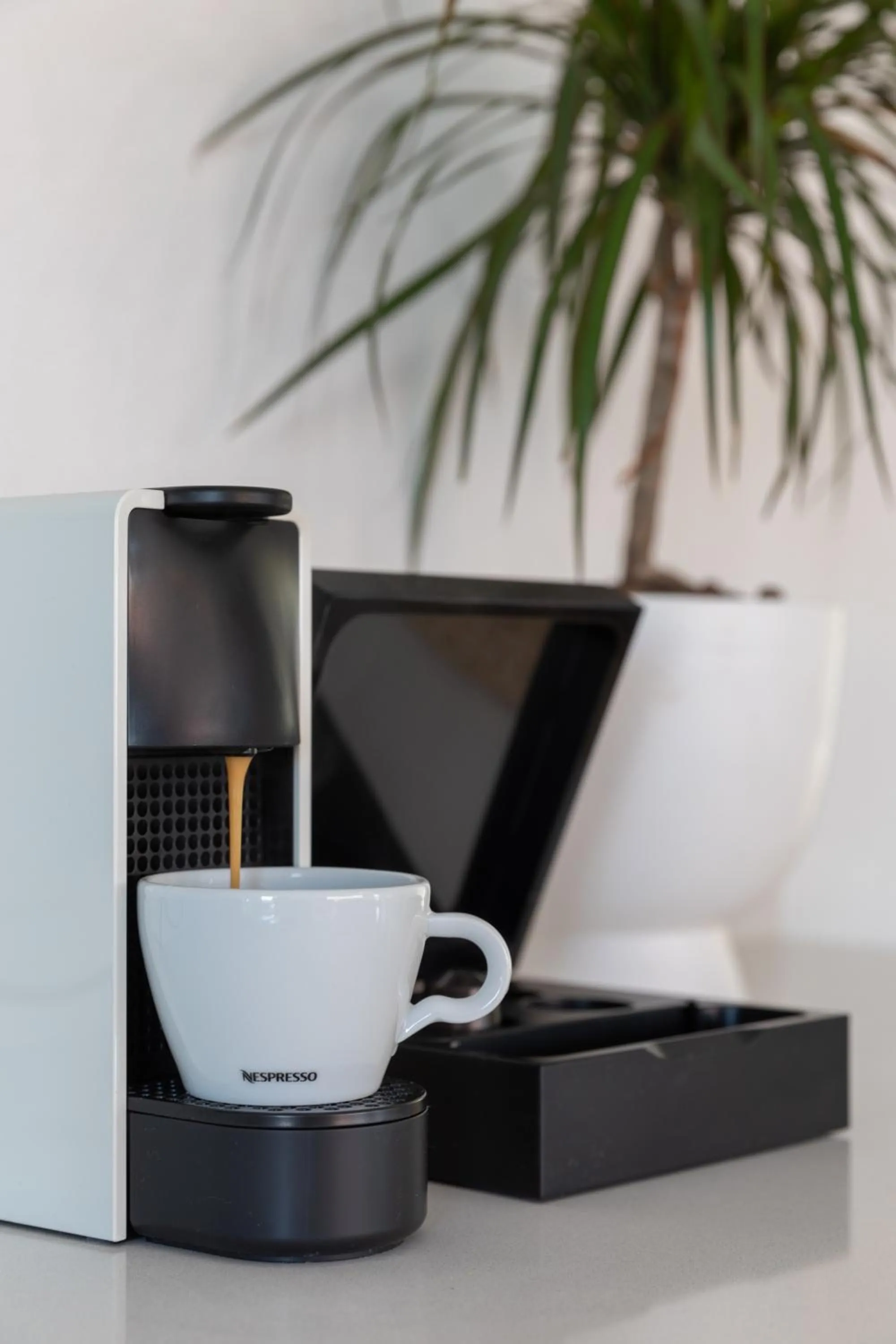 Coffee/tea facilities in L'olive homes