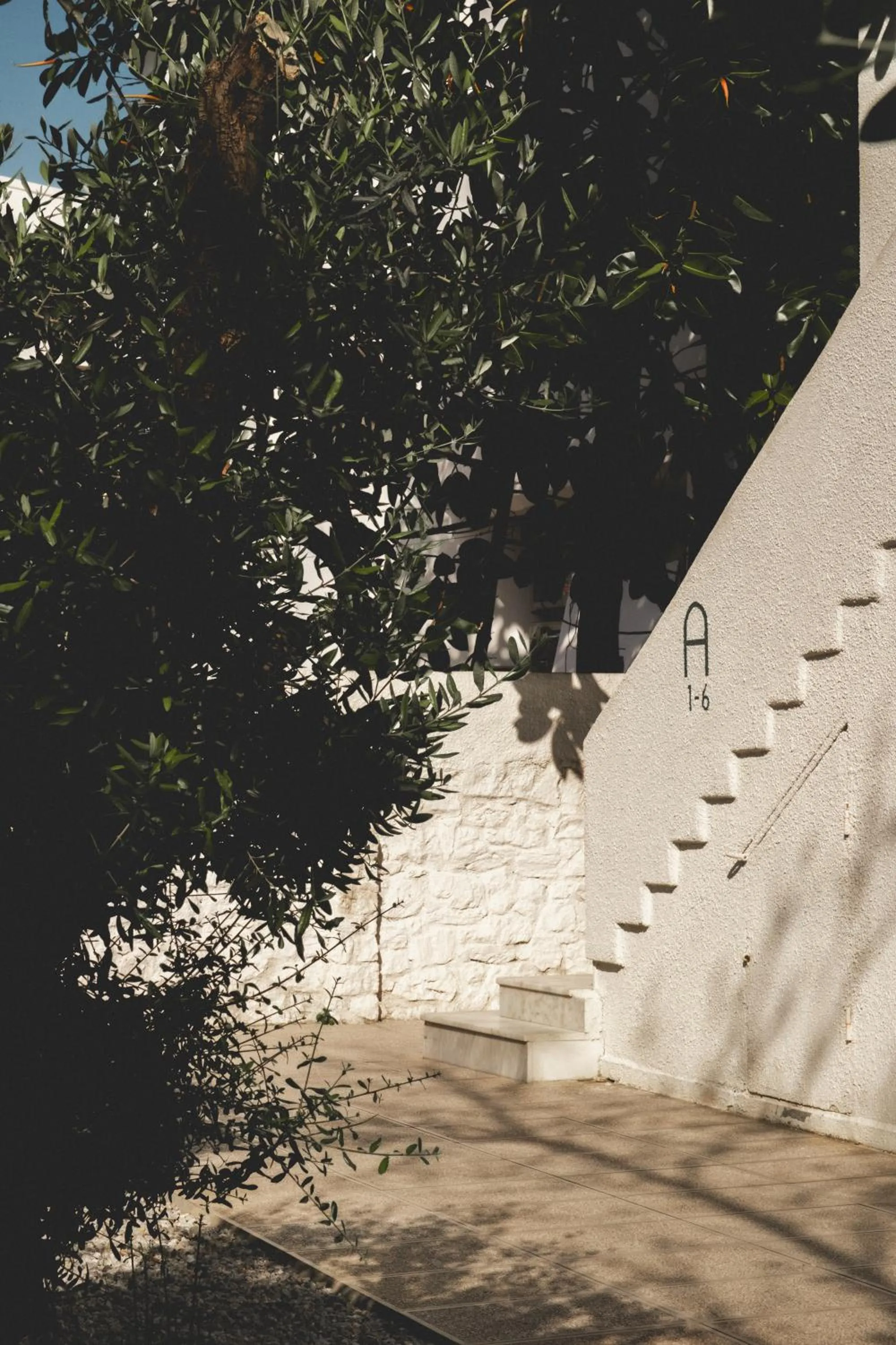 Garden in L'olive homes
