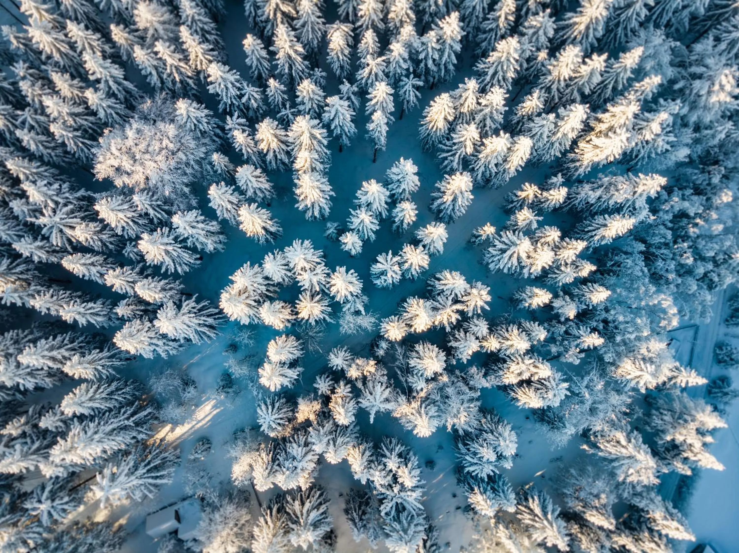 Berghotel Friedrichshöhe - Sauna, Pool & Natur