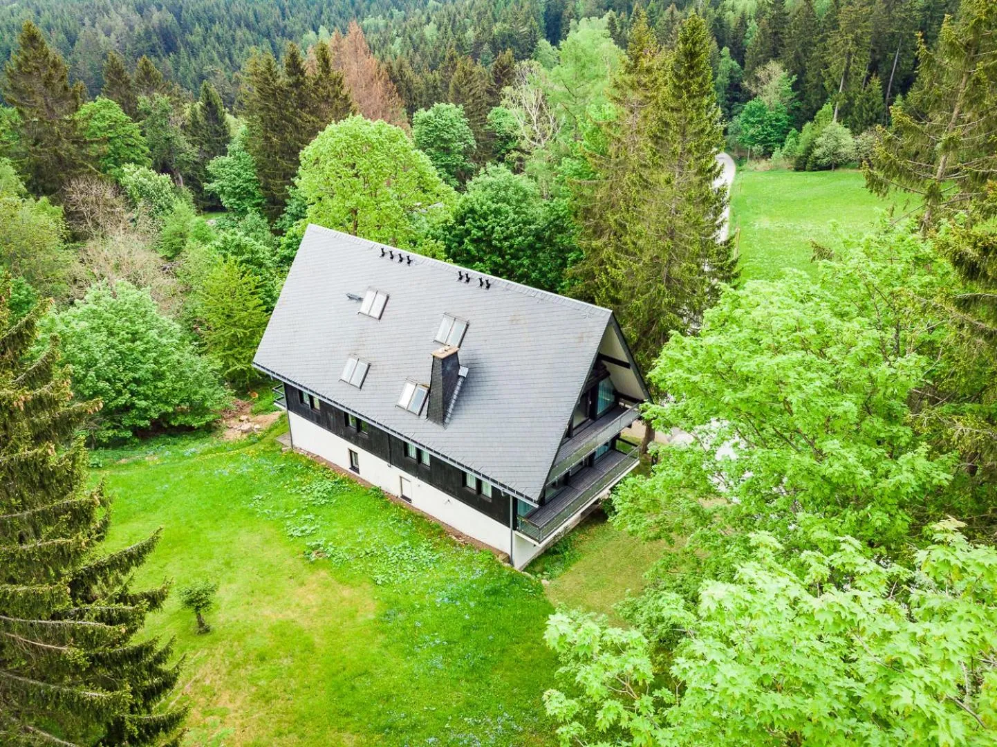 Berghotel Friedrichshöhe - Sauna, Pool & Natur