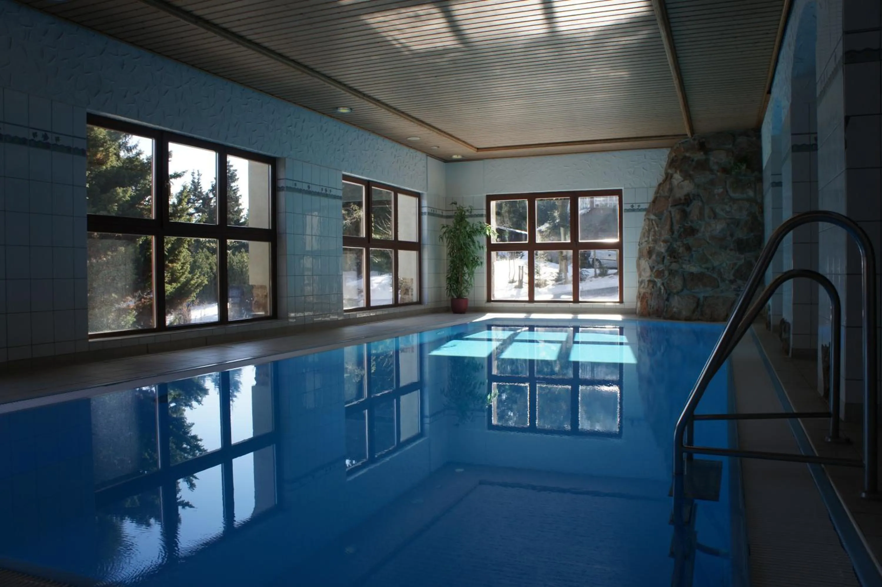 Swimming pool in Berghotel Friedrichshöhe - Sauna, Pool & Natur