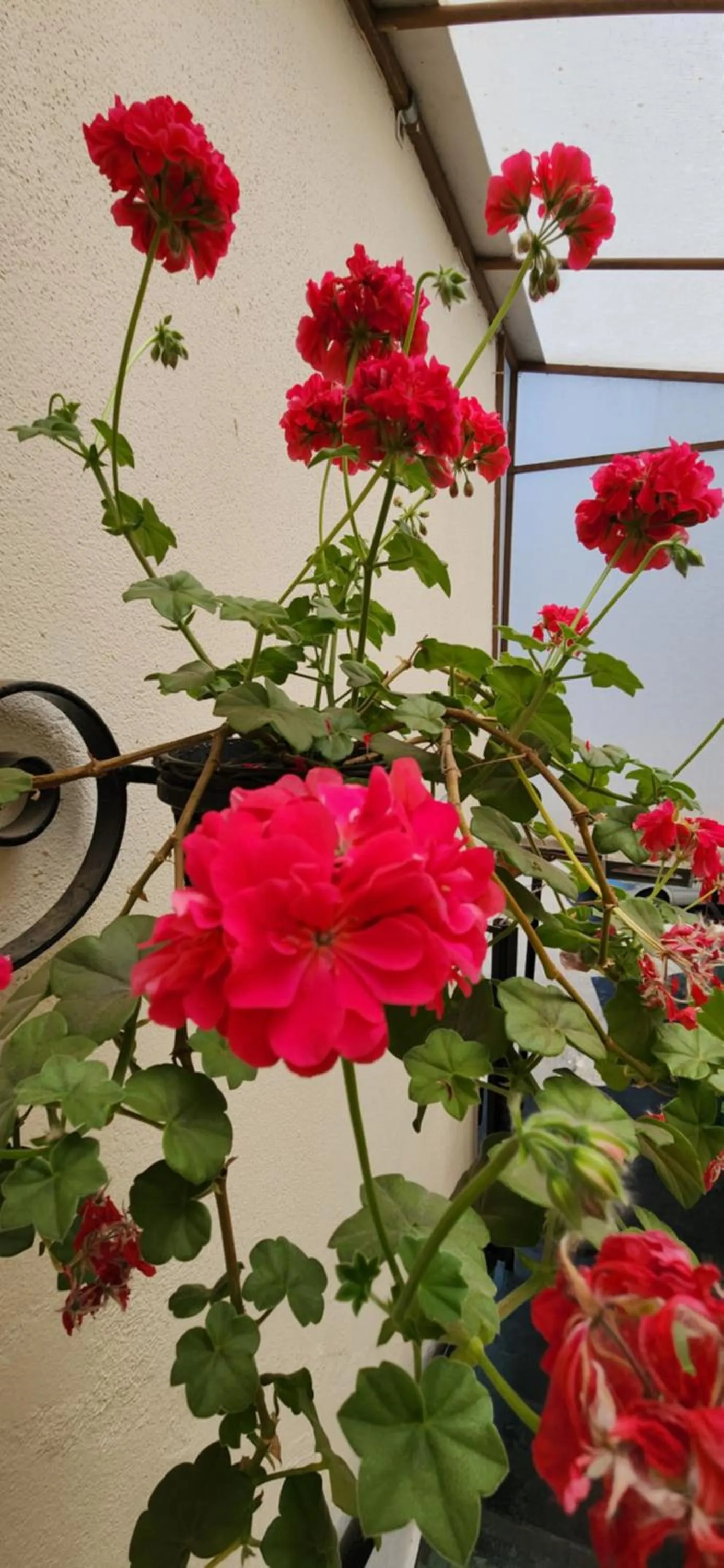 Day in Pousada Araucária