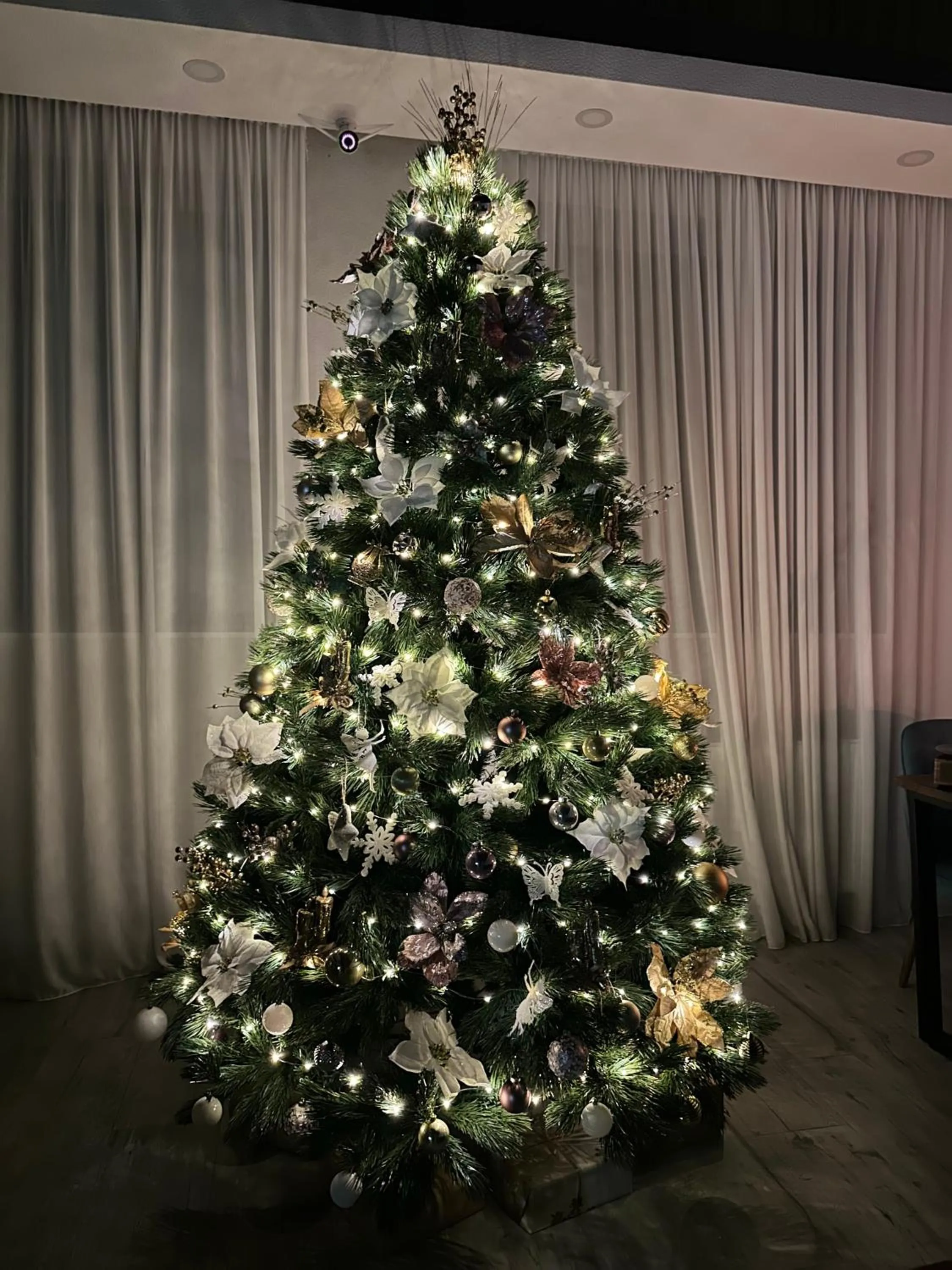 Lobby or reception in Hotel Axien Kazbegi