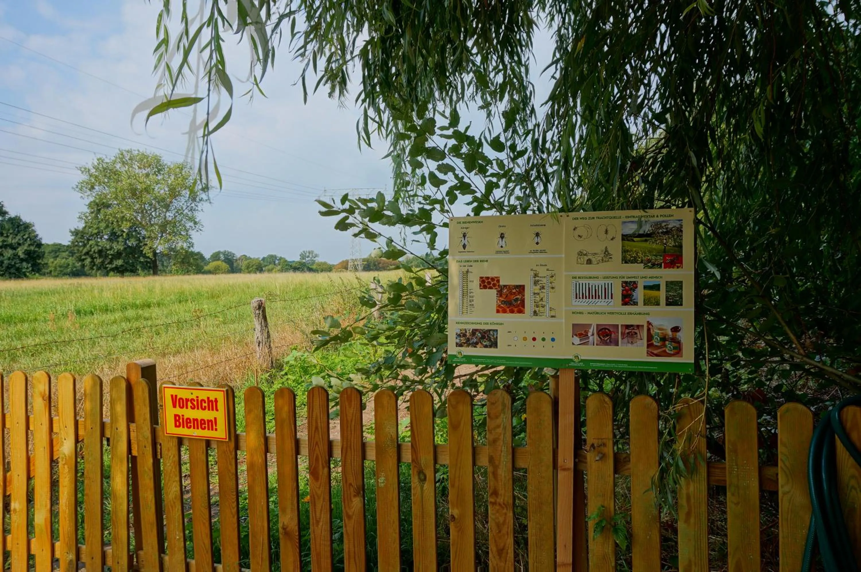 Animals in Hotel am Tierpark