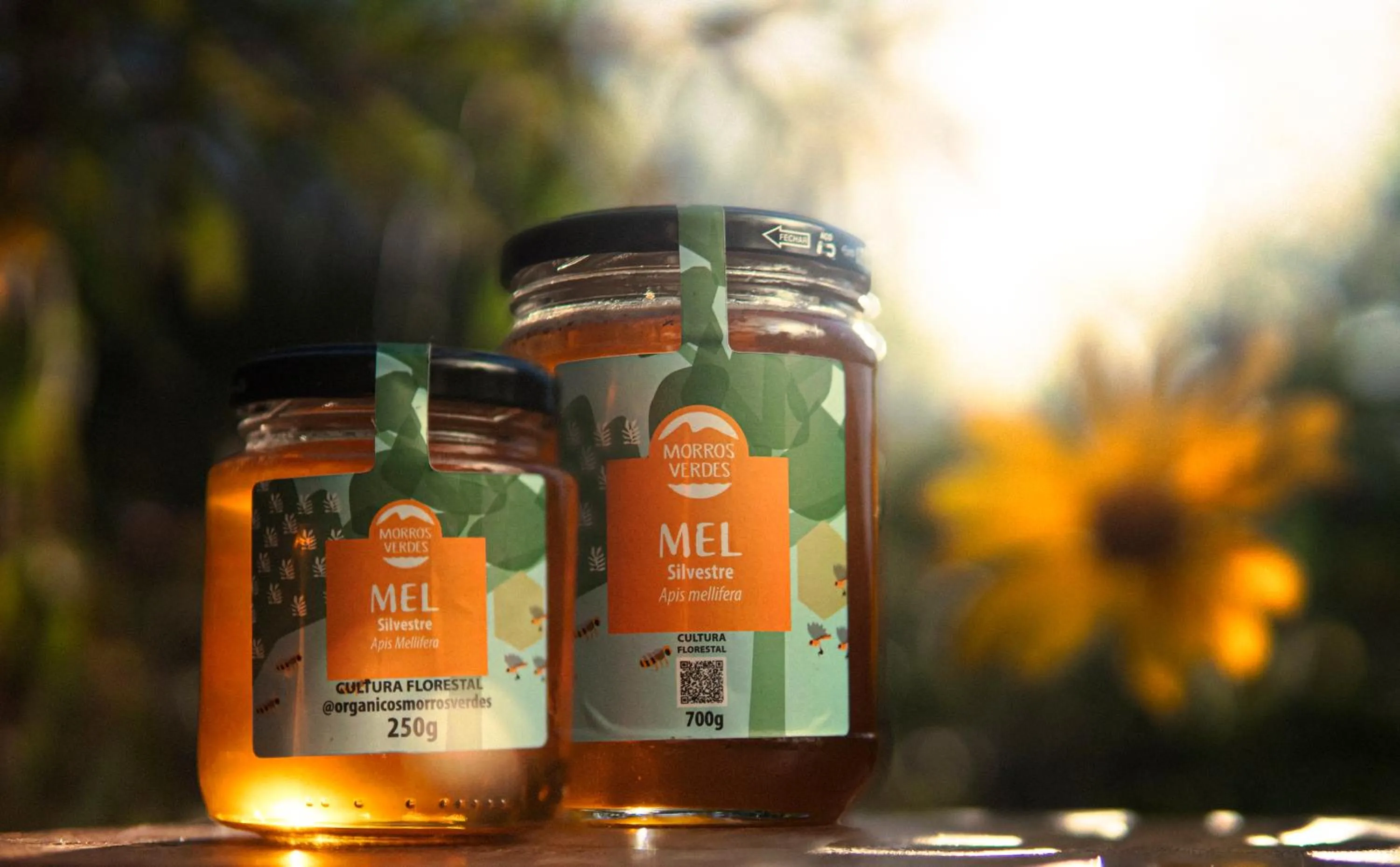 Day in Hotel Fazenda Morros Verdes Ecolodge