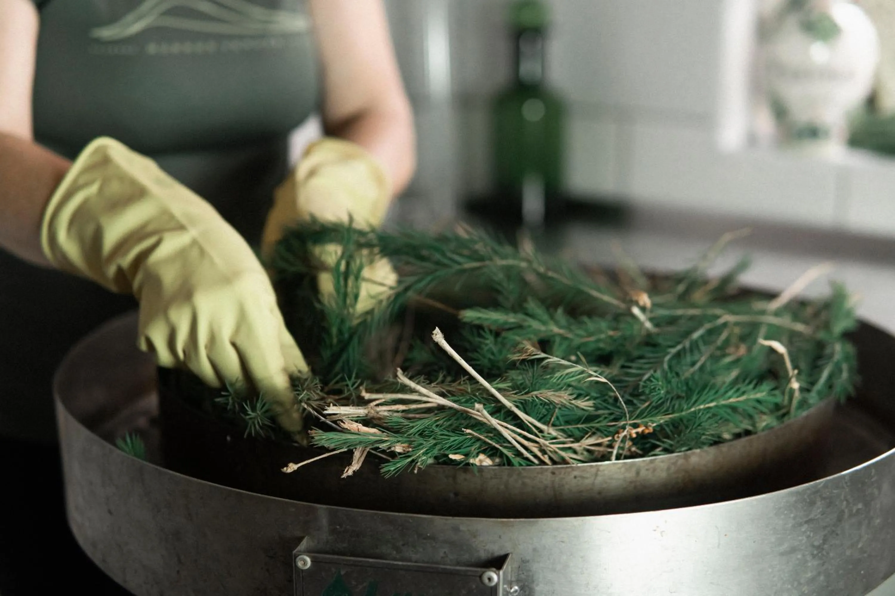People in Hotel Fazenda Morros Verdes Ecolodge