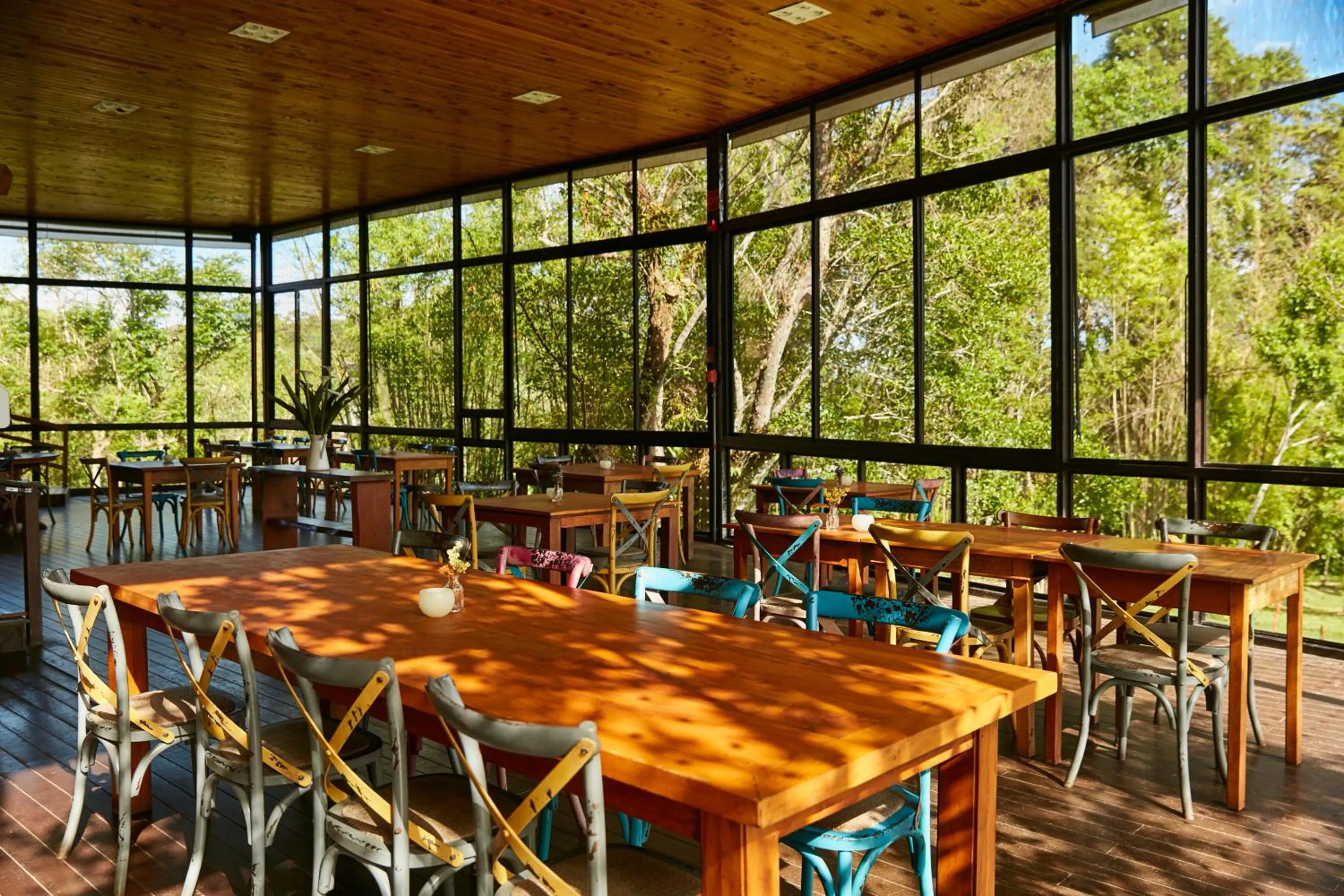 Restaurant/places to eat in Hotel Fazenda Morros Verdes Ecolodge