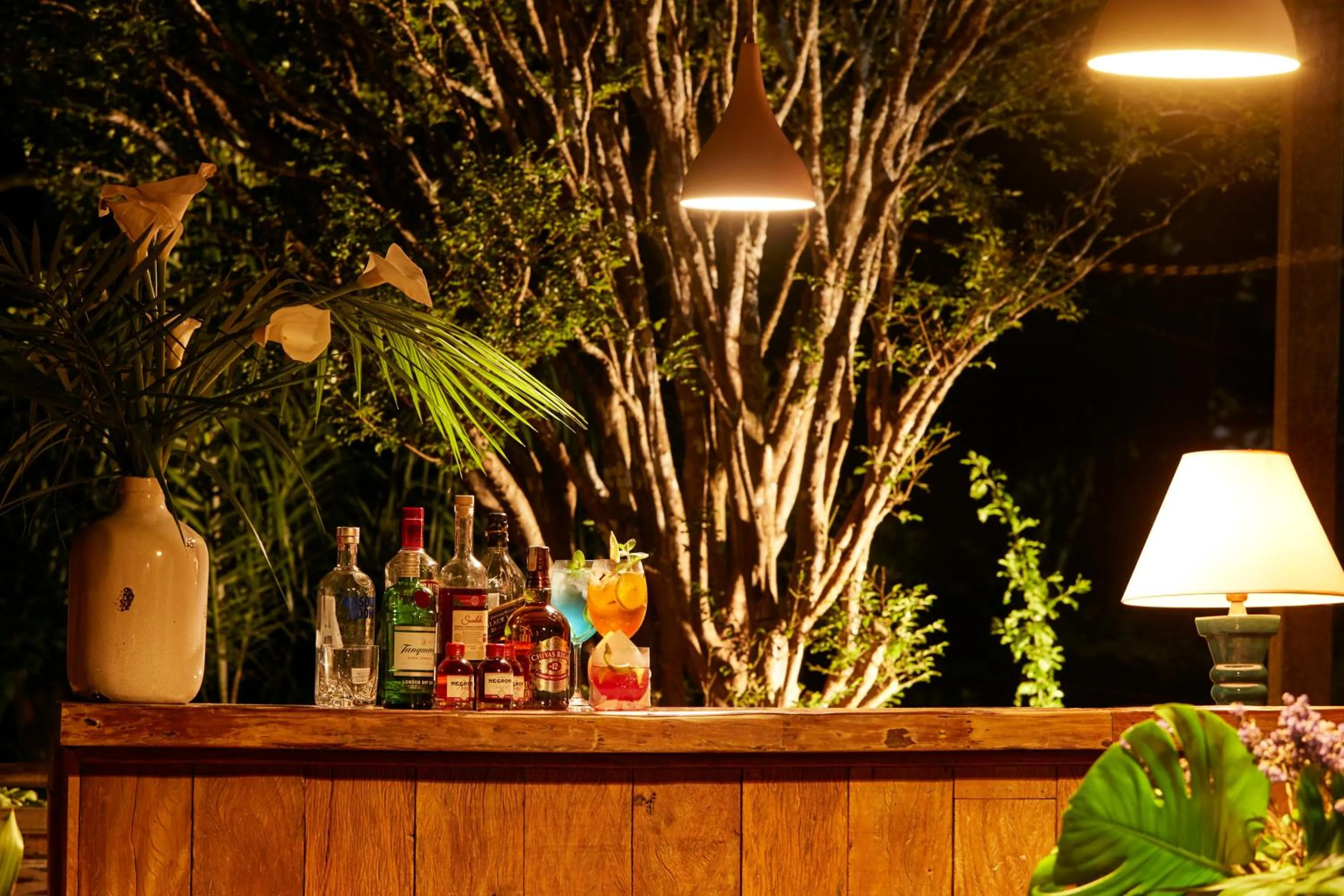 Night in Hotel Fazenda Morros Verdes Ecolodge