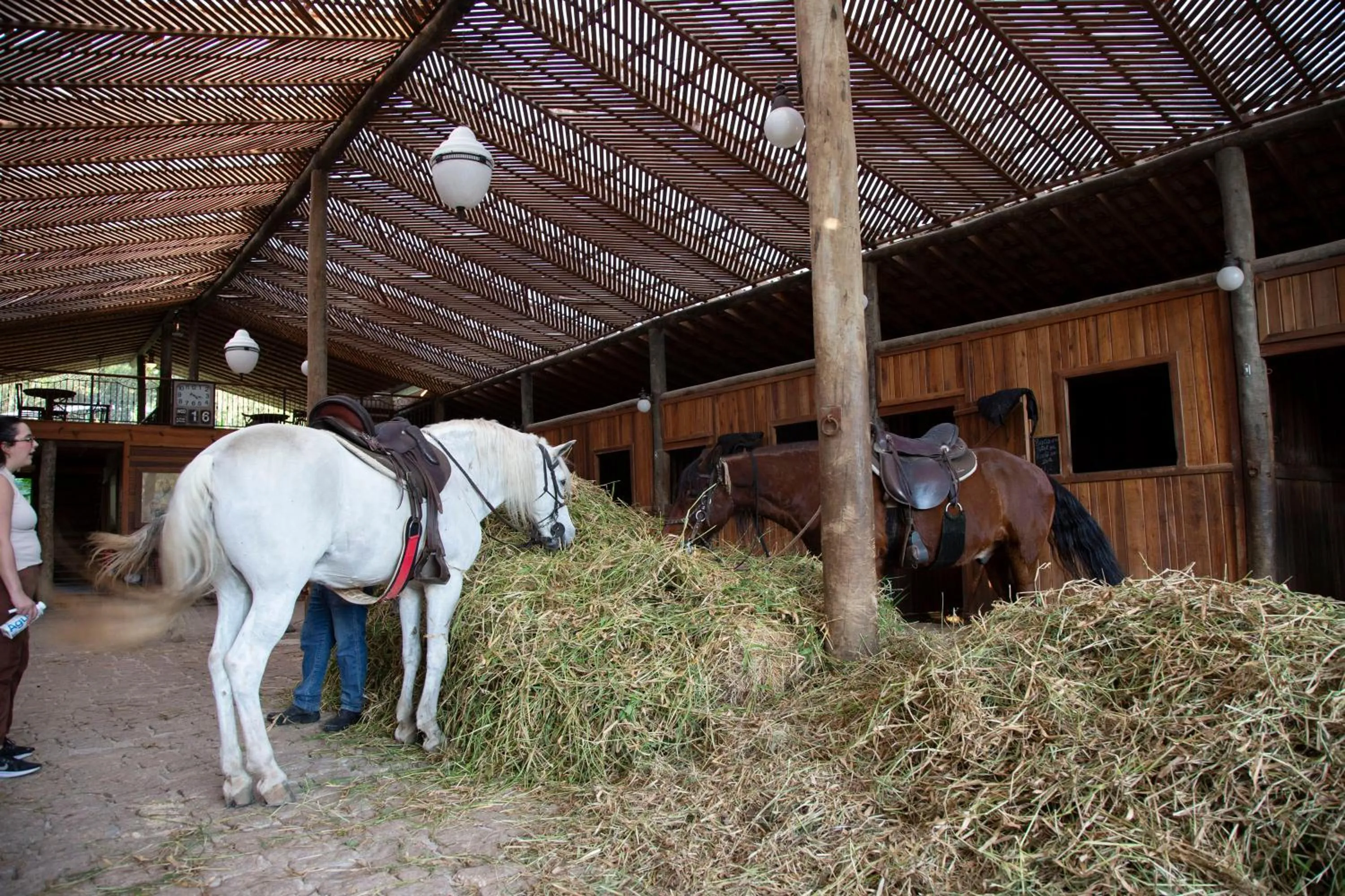 Horse-riding in Hotel Fazenda Morros Verdes Ecolodge