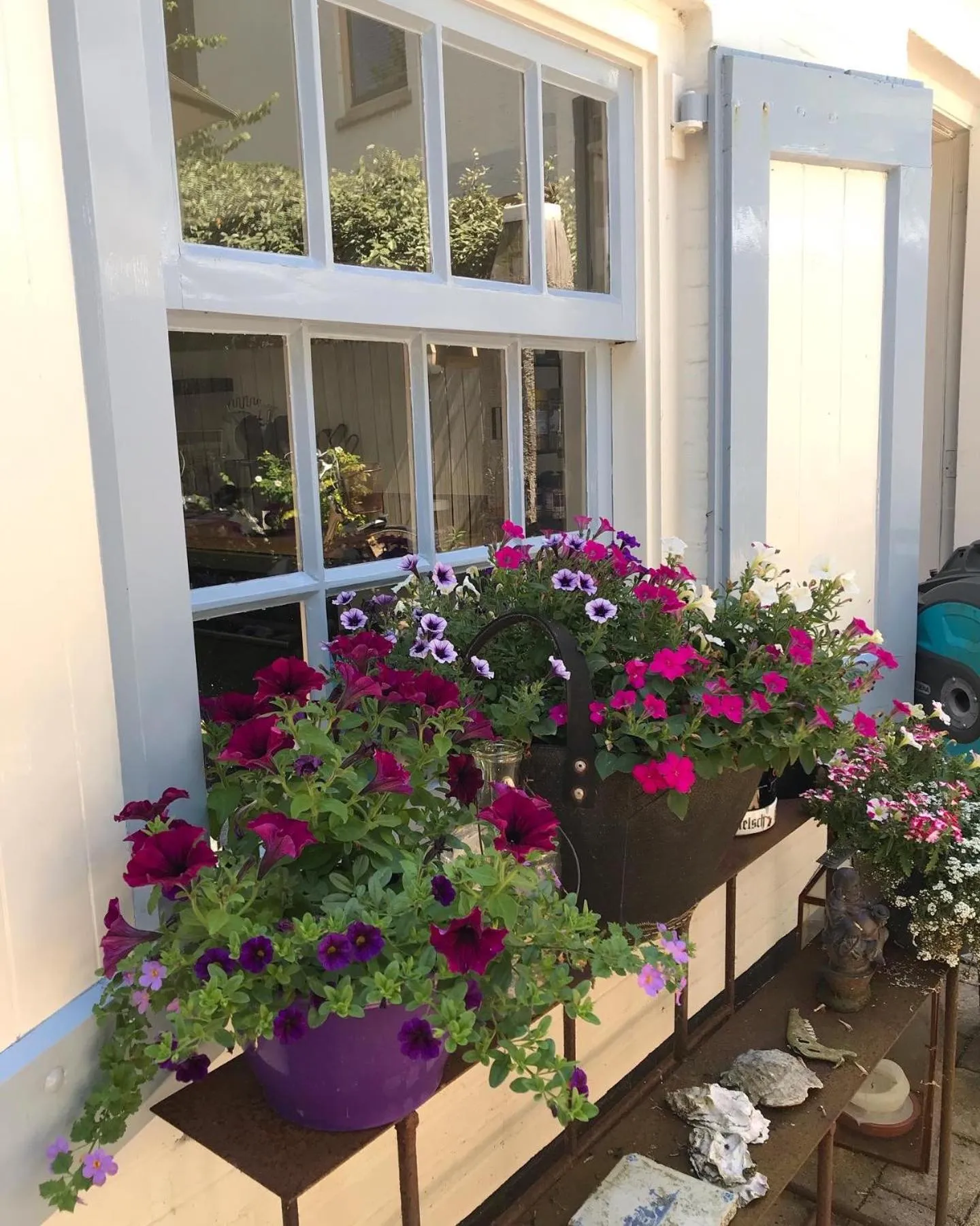 B&B Zee van Tijd Domburg